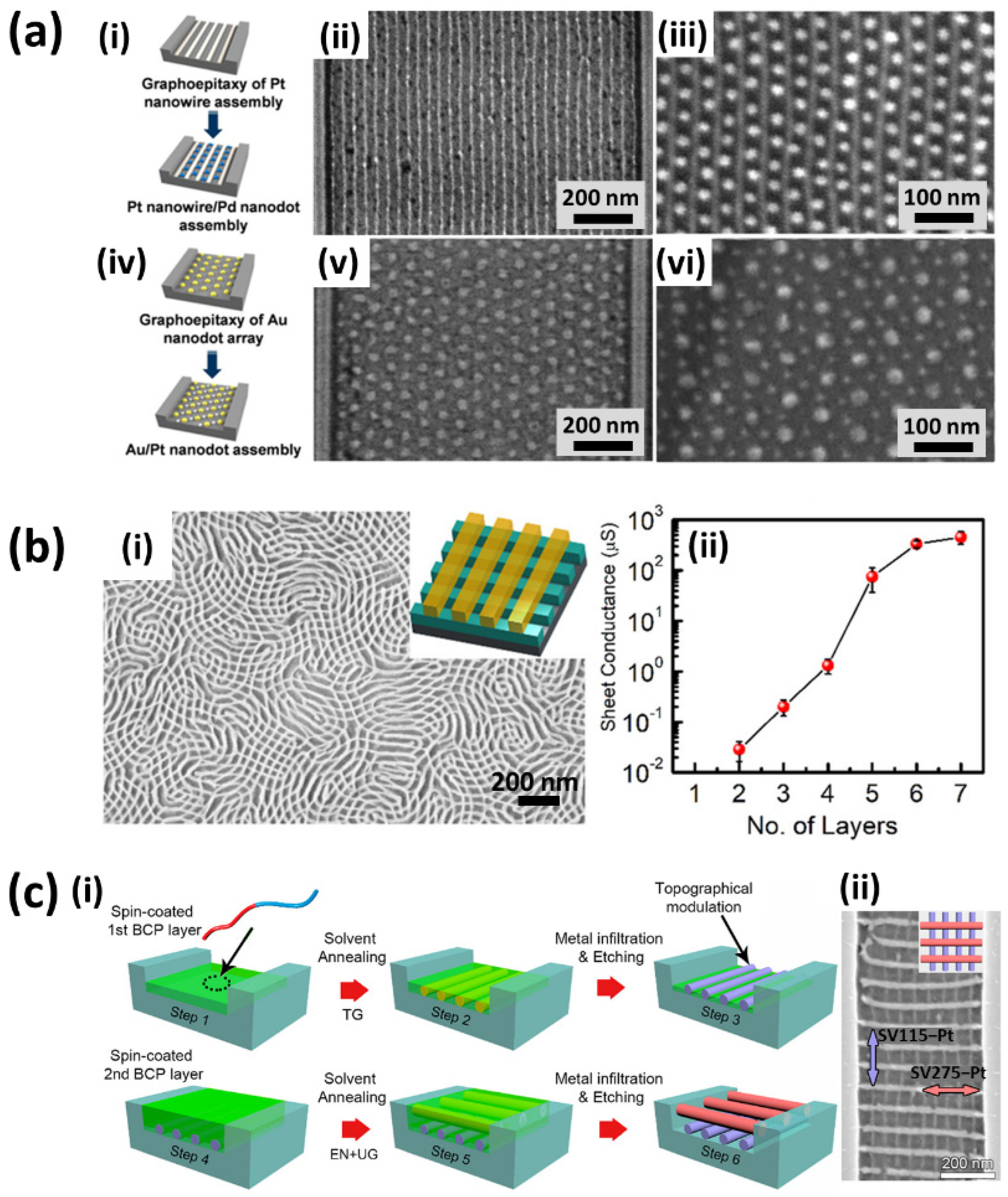 Polymers 14 04317 g007 Polymers 14 04317 g007