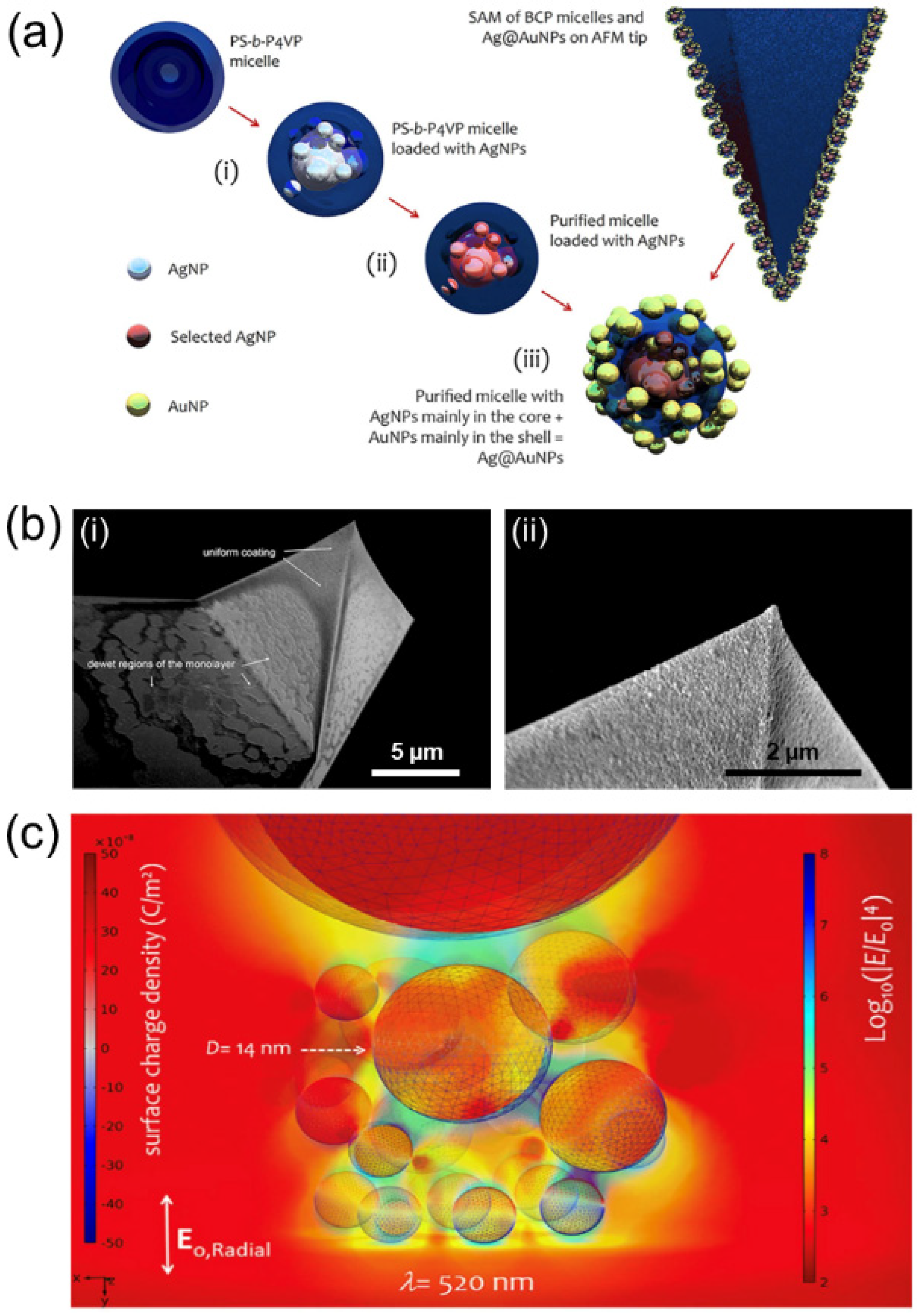 Polymers 14 04317 g009 Polymers 14 04317 g009