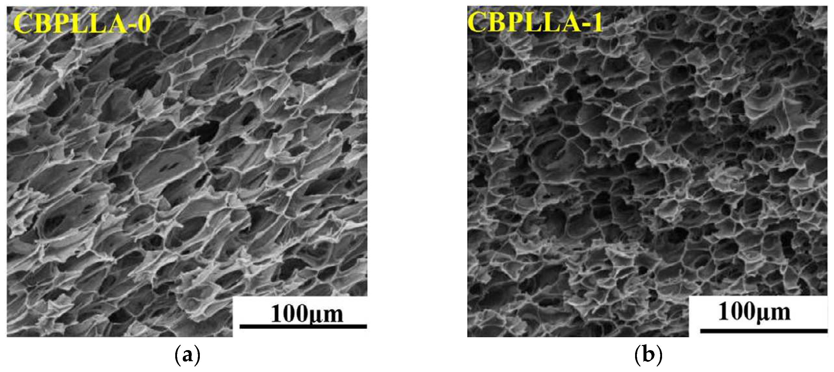 Polymers 14 04320 g006a Polymers 14 04320 g006a