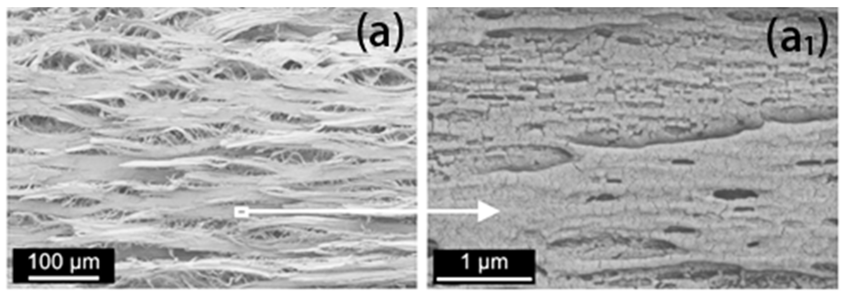 Polymers 14 04320 g011 Polymers 14 04320 g011