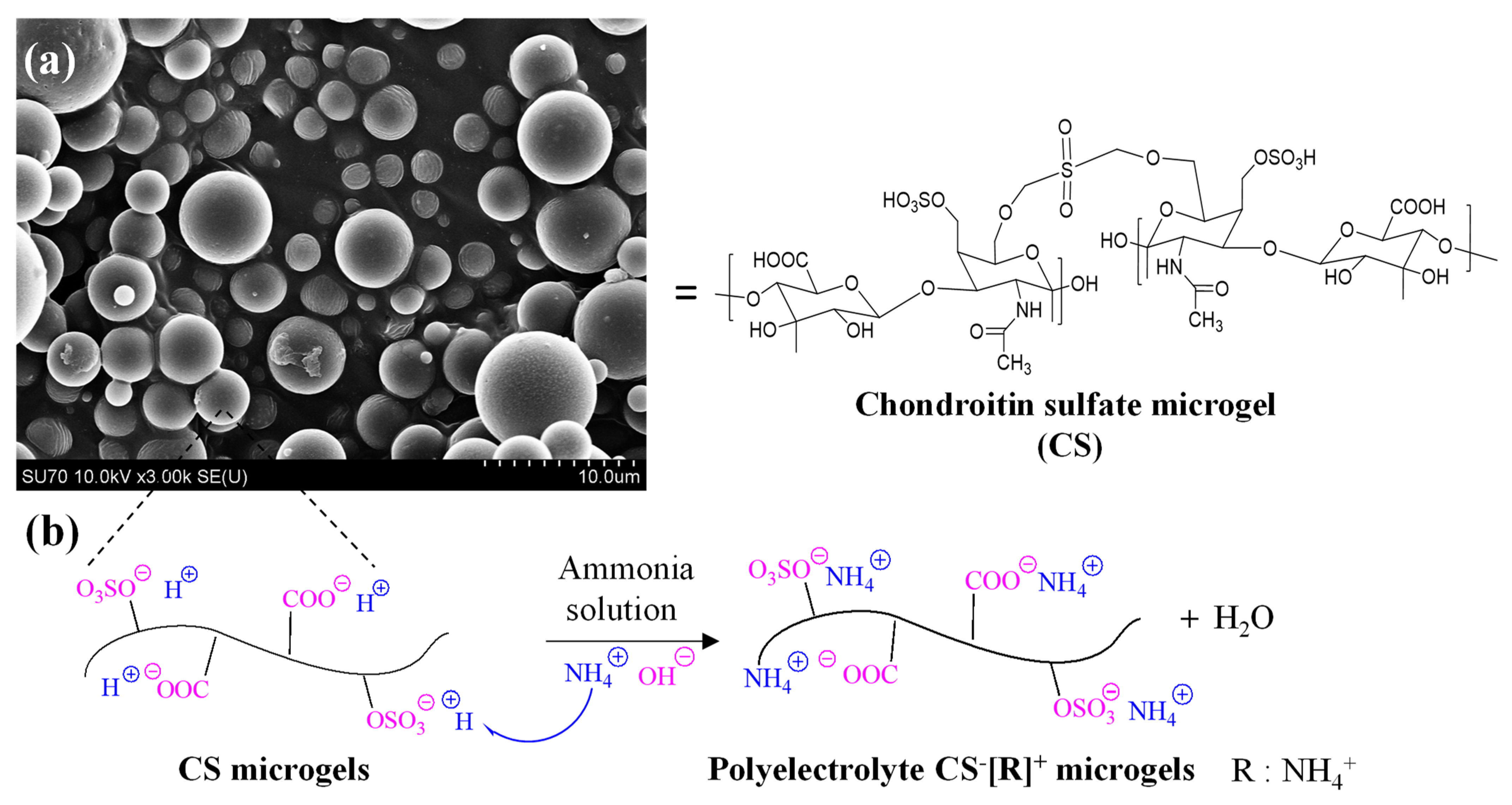 Polymers 14 04324 g001