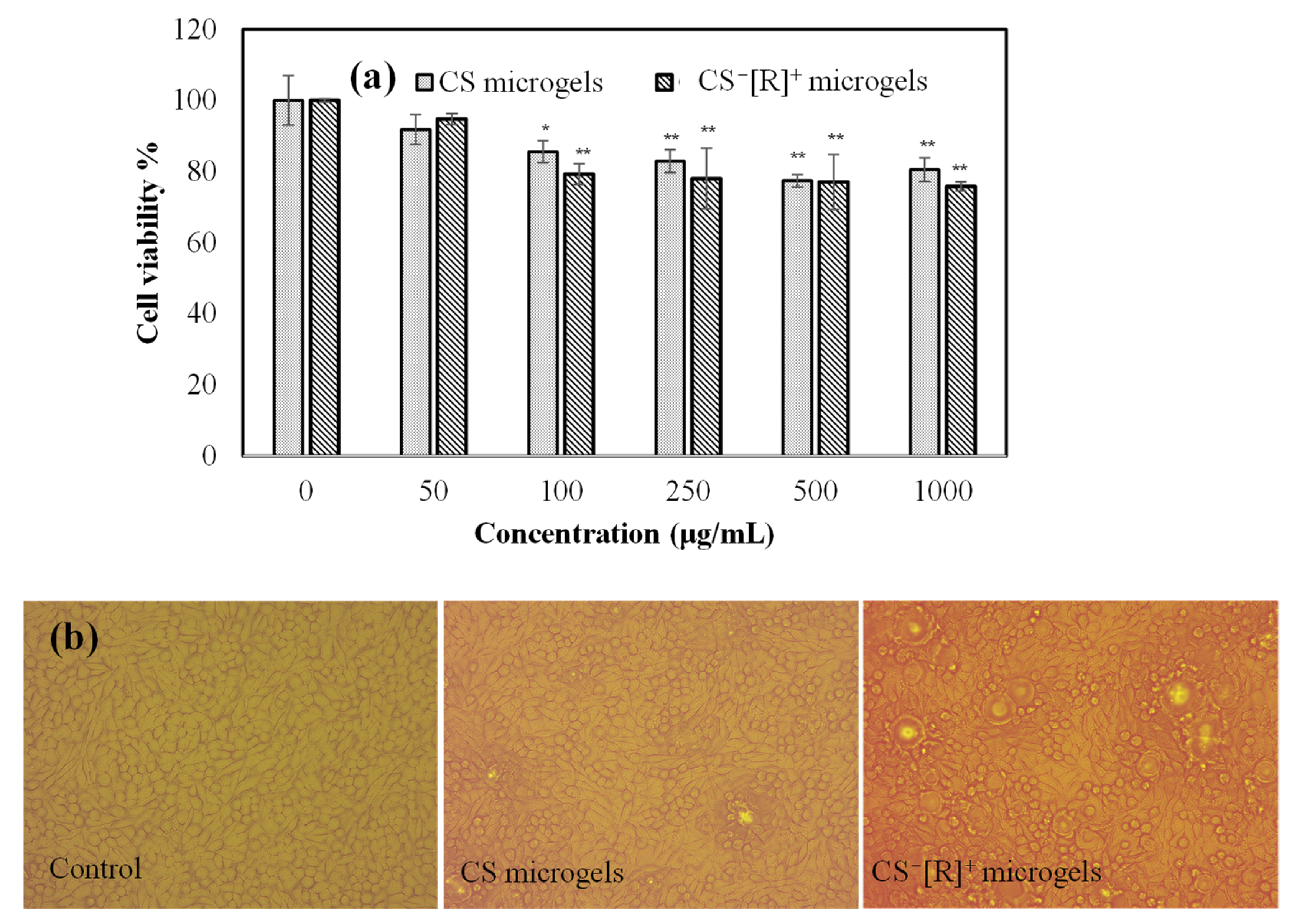 Polymers 14 04324 g004