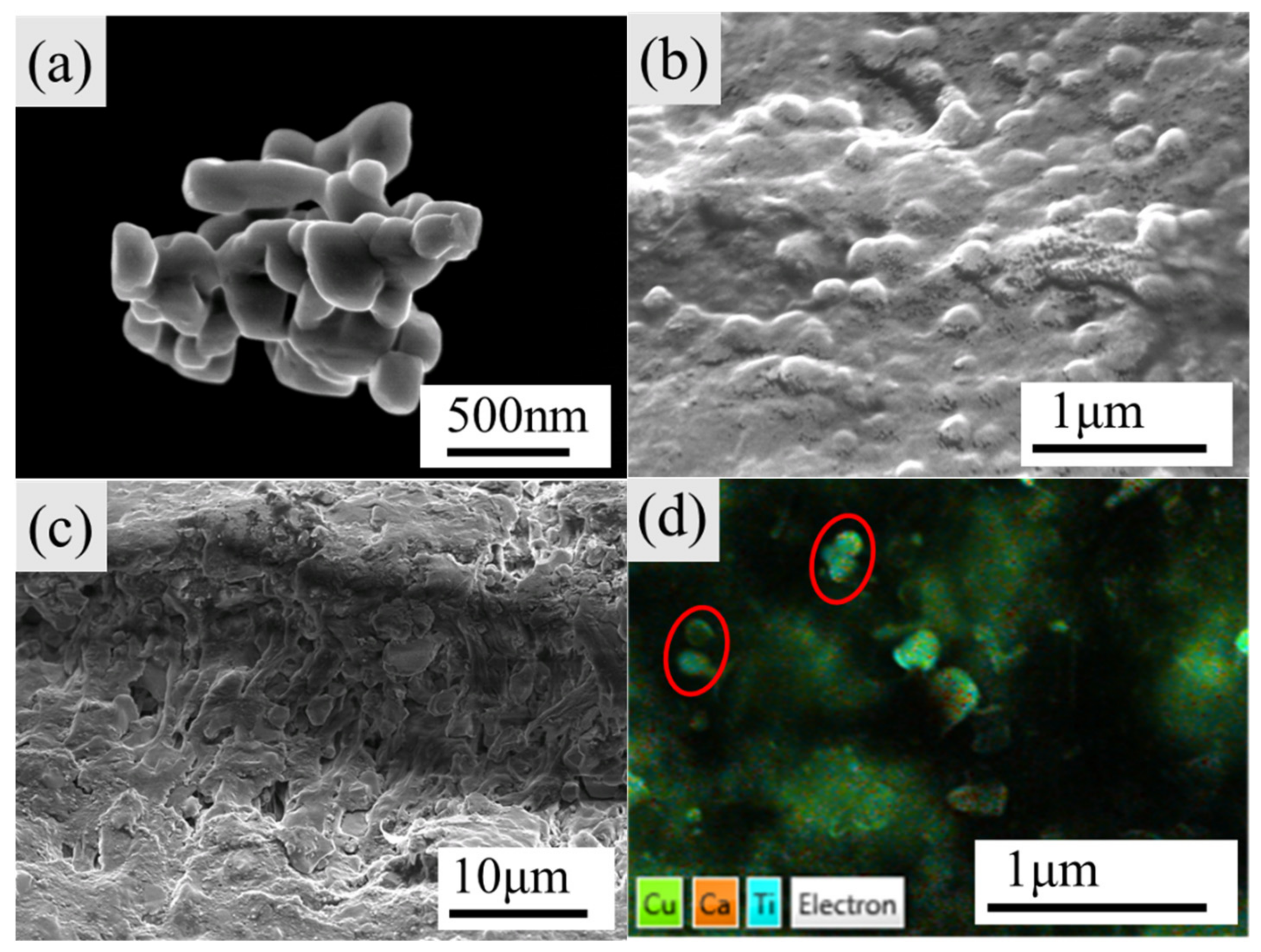 Polymers 14 04328 g008