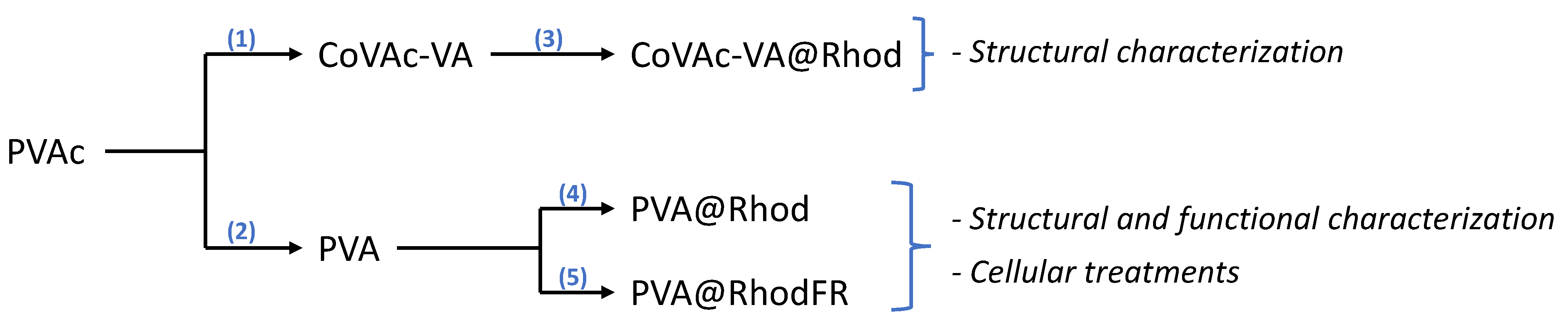 Polymers 14 04329 g002
