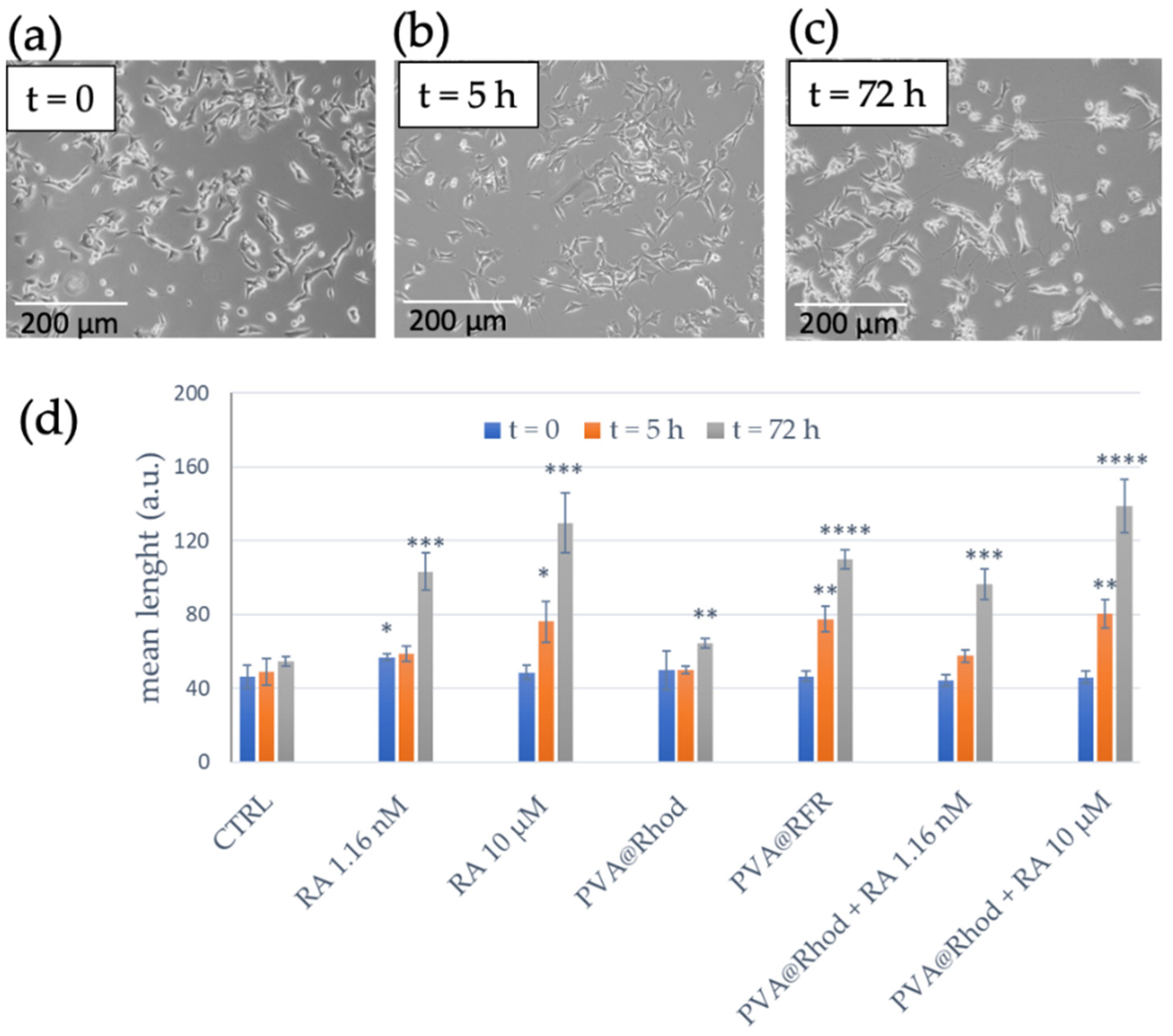 Polymers 14 04329 g008