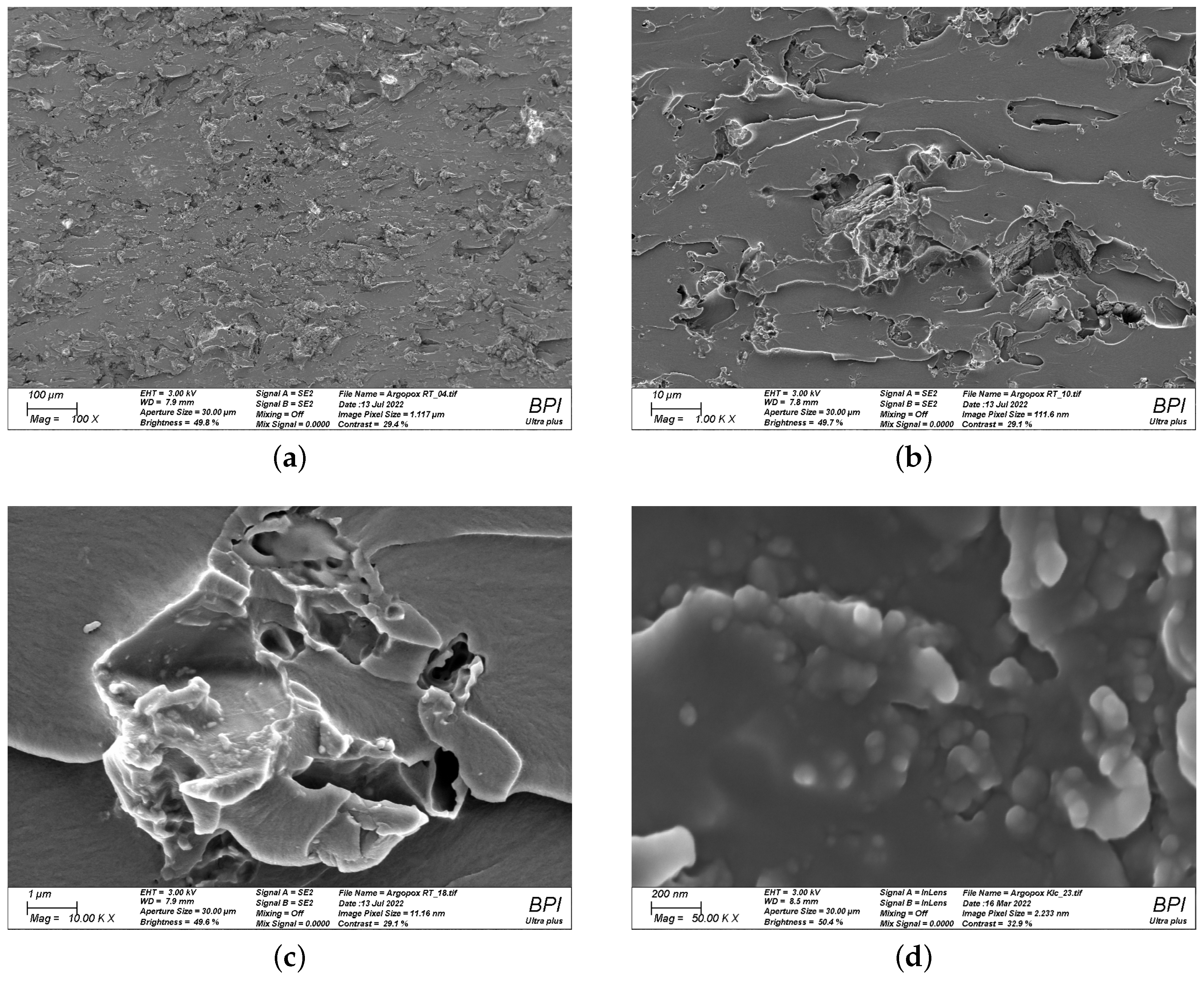 Polymers 14 04331 g008