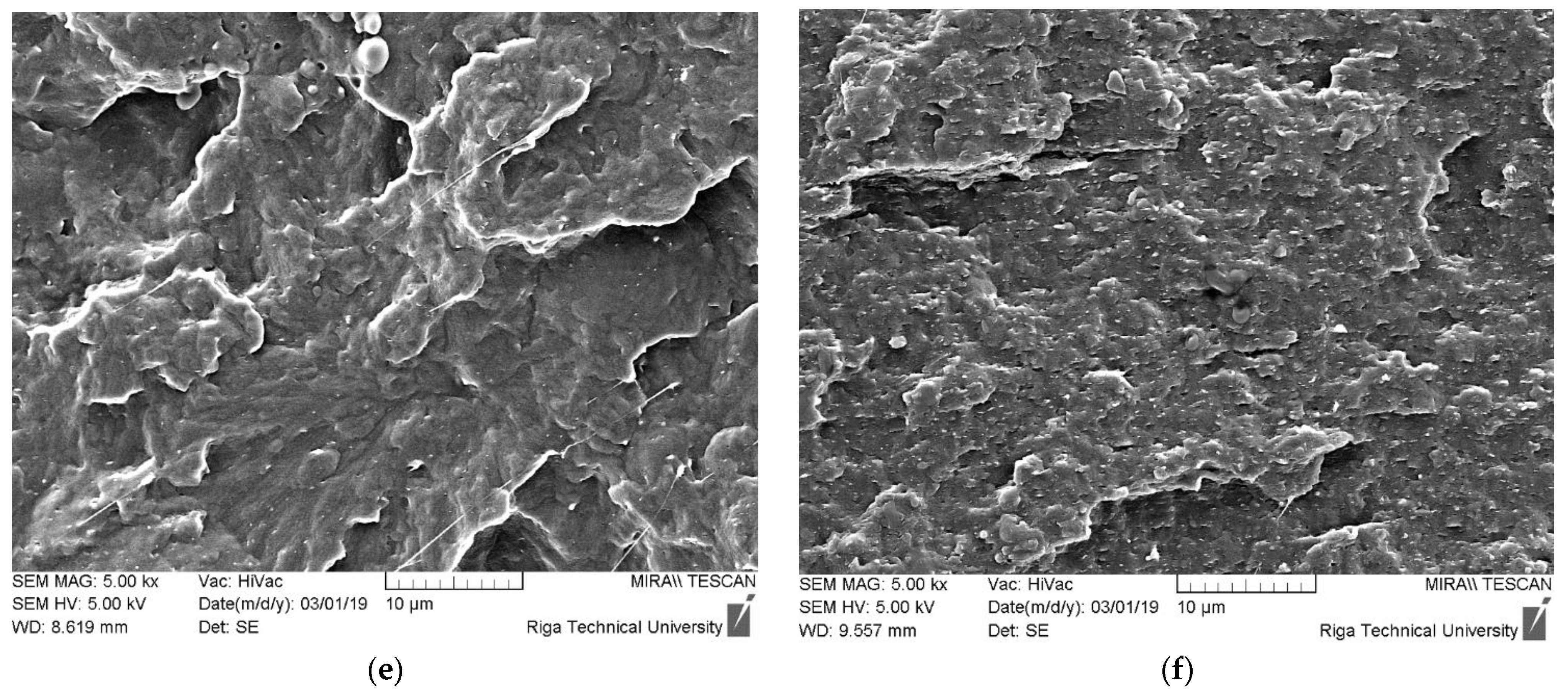 Polymers 14 04332 g003b Polymers 14 04332 g003b