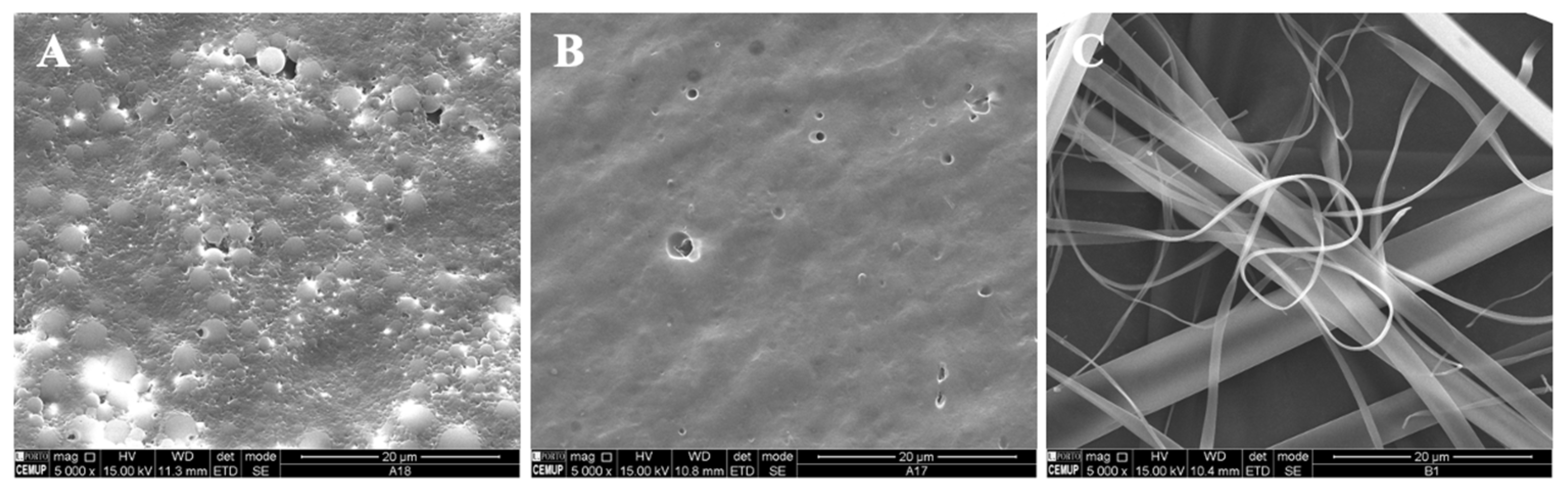Polymers 14 04337 g002