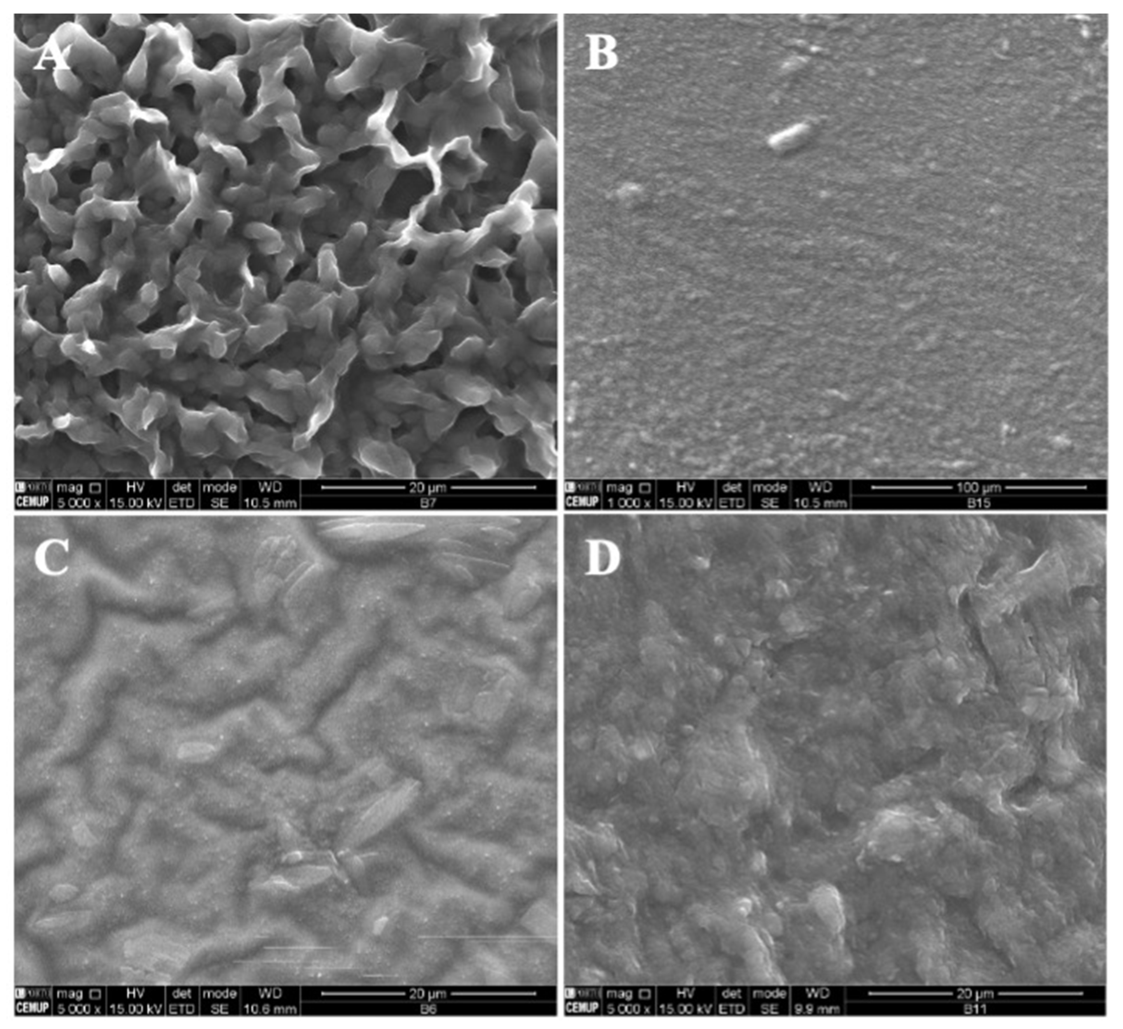 Polymers 14 04337 g004
