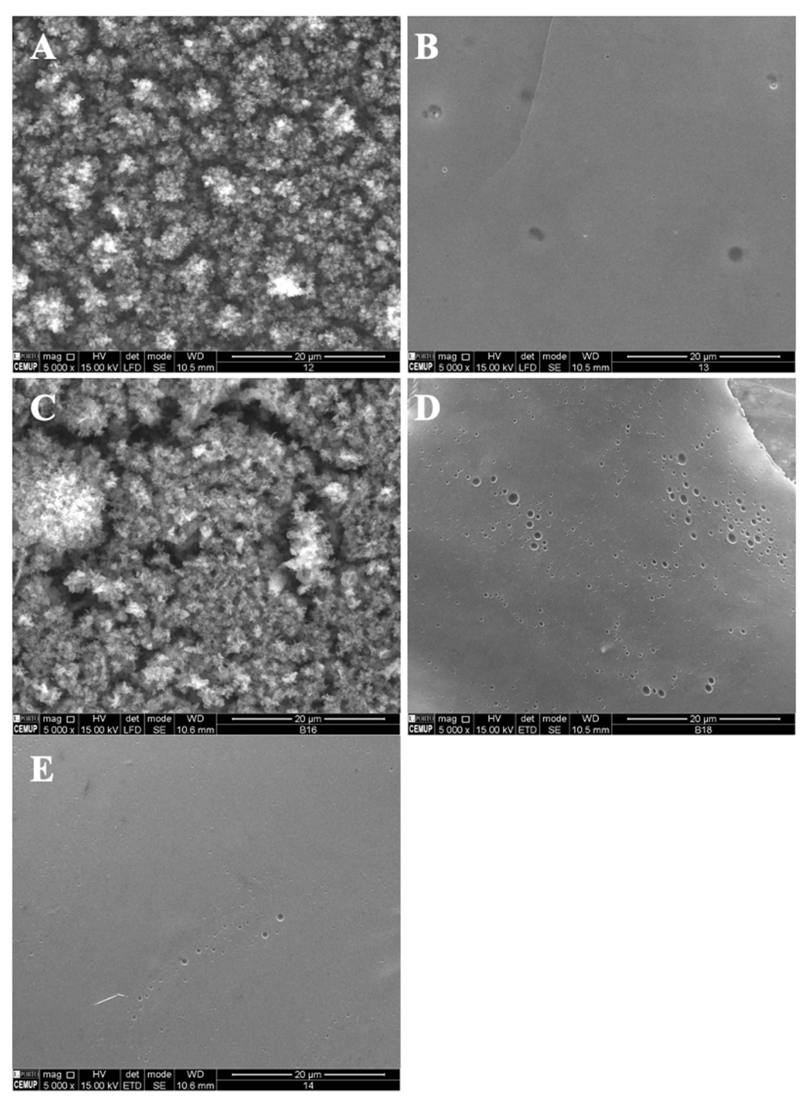 Polymers 14 04337 g005