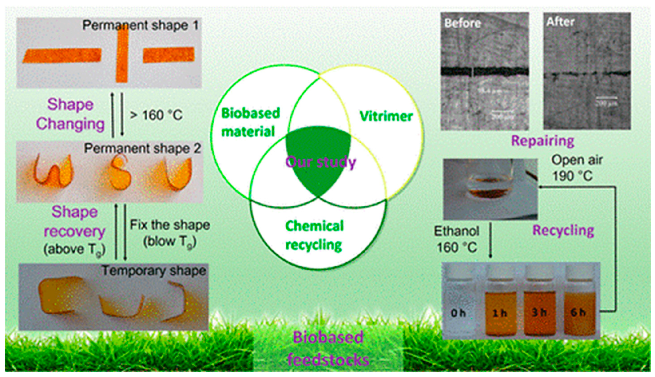 Polymers 14 04338 g006 Polymers 14 04338 g006