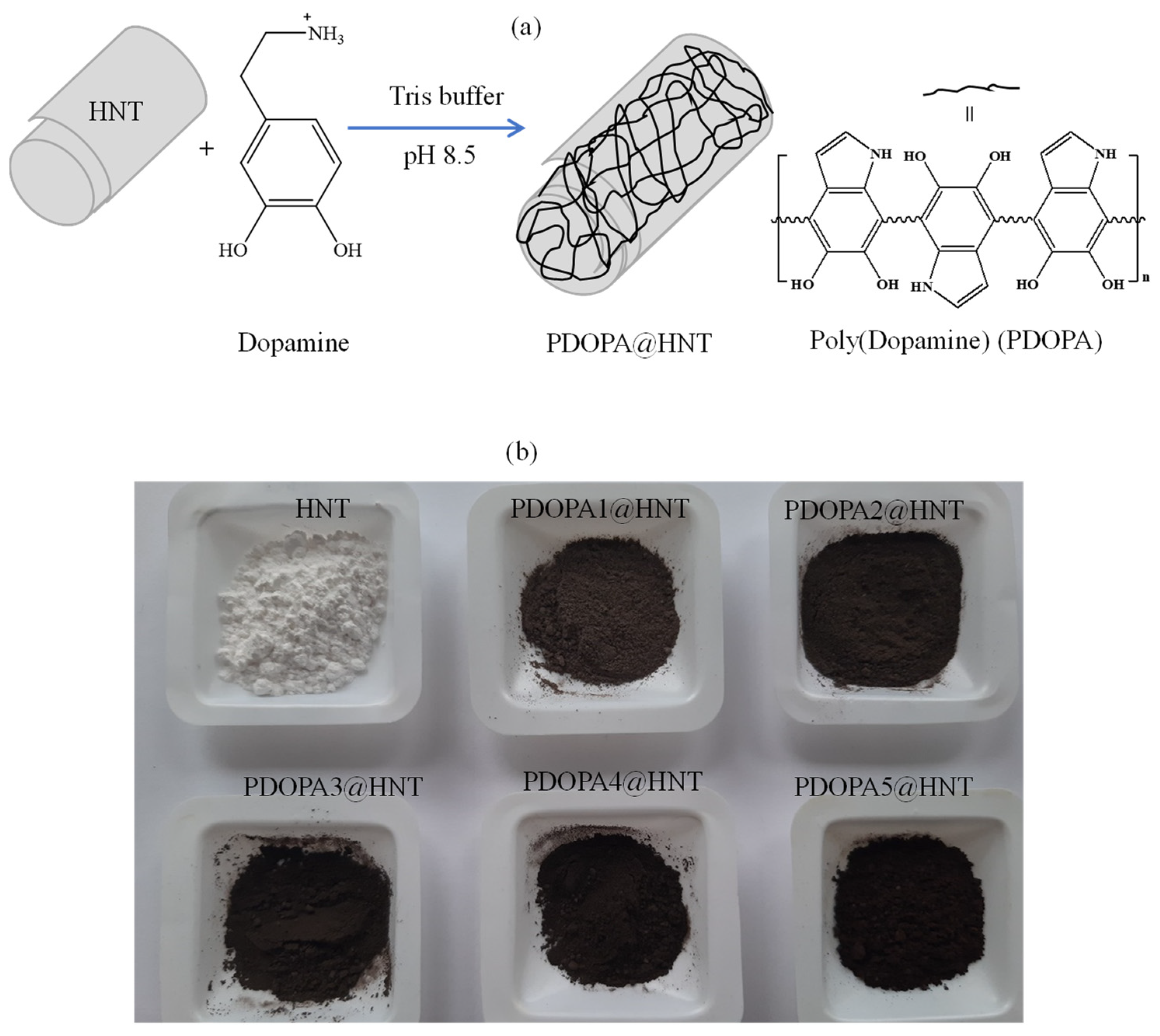Polymers 14 04346 g001 Polymers 14 04346 g001