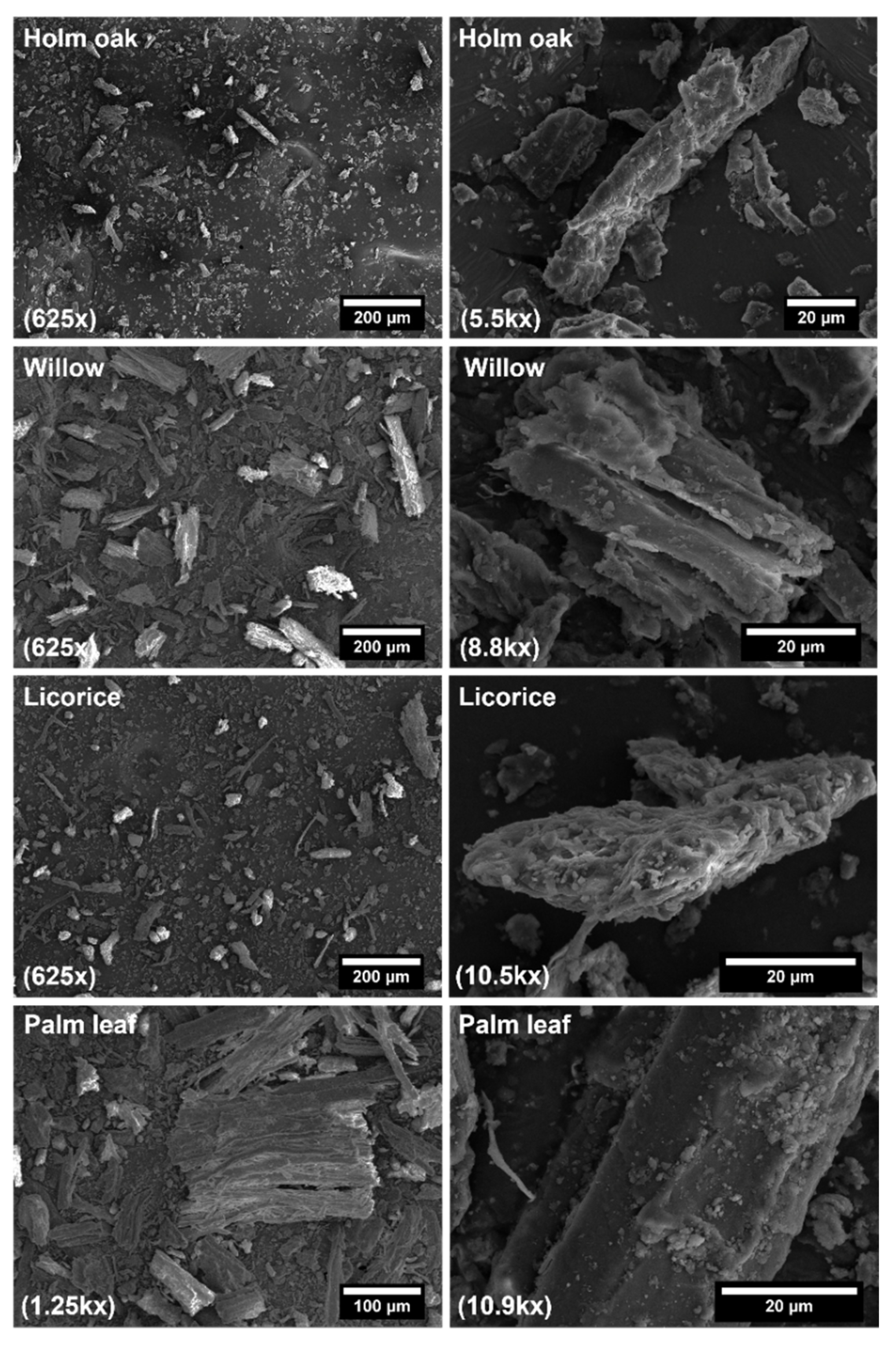 Polymers 14 04348 g003 Polymers 14 04348 g003