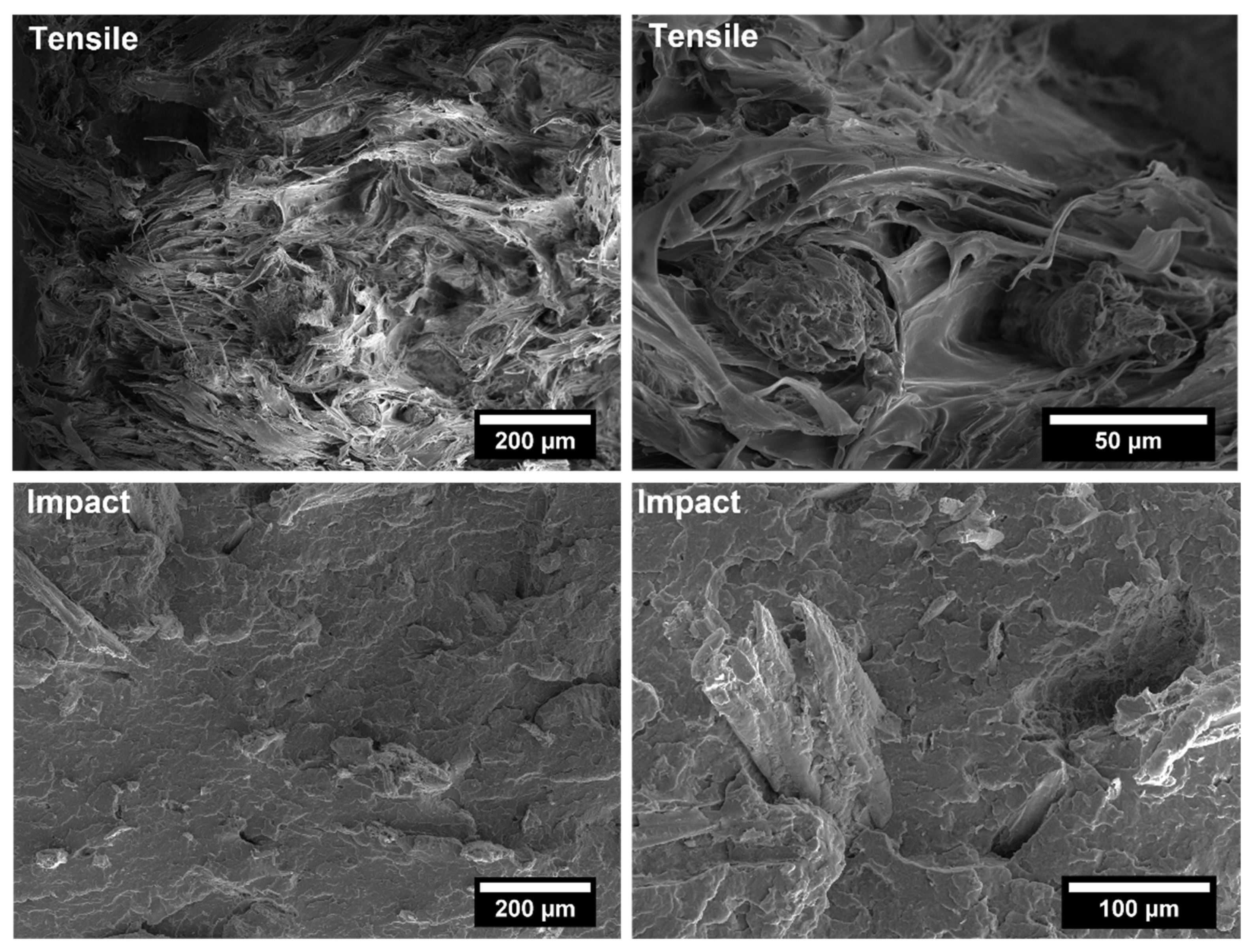 Polymers 14 04348 g009 Polymers 14 04348 g009
