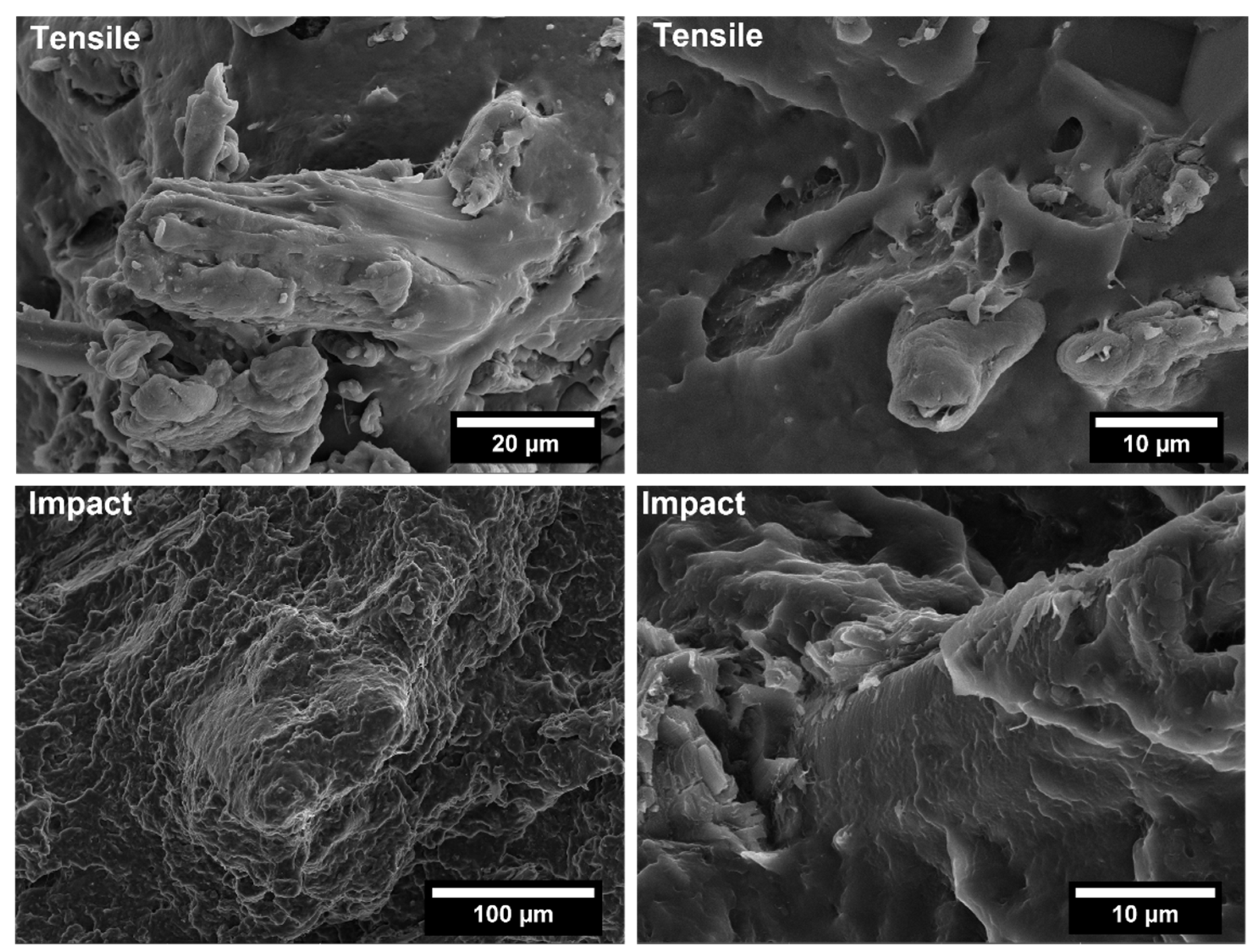 Polymers 14 04348 g010 Polymers 14 04348 g010