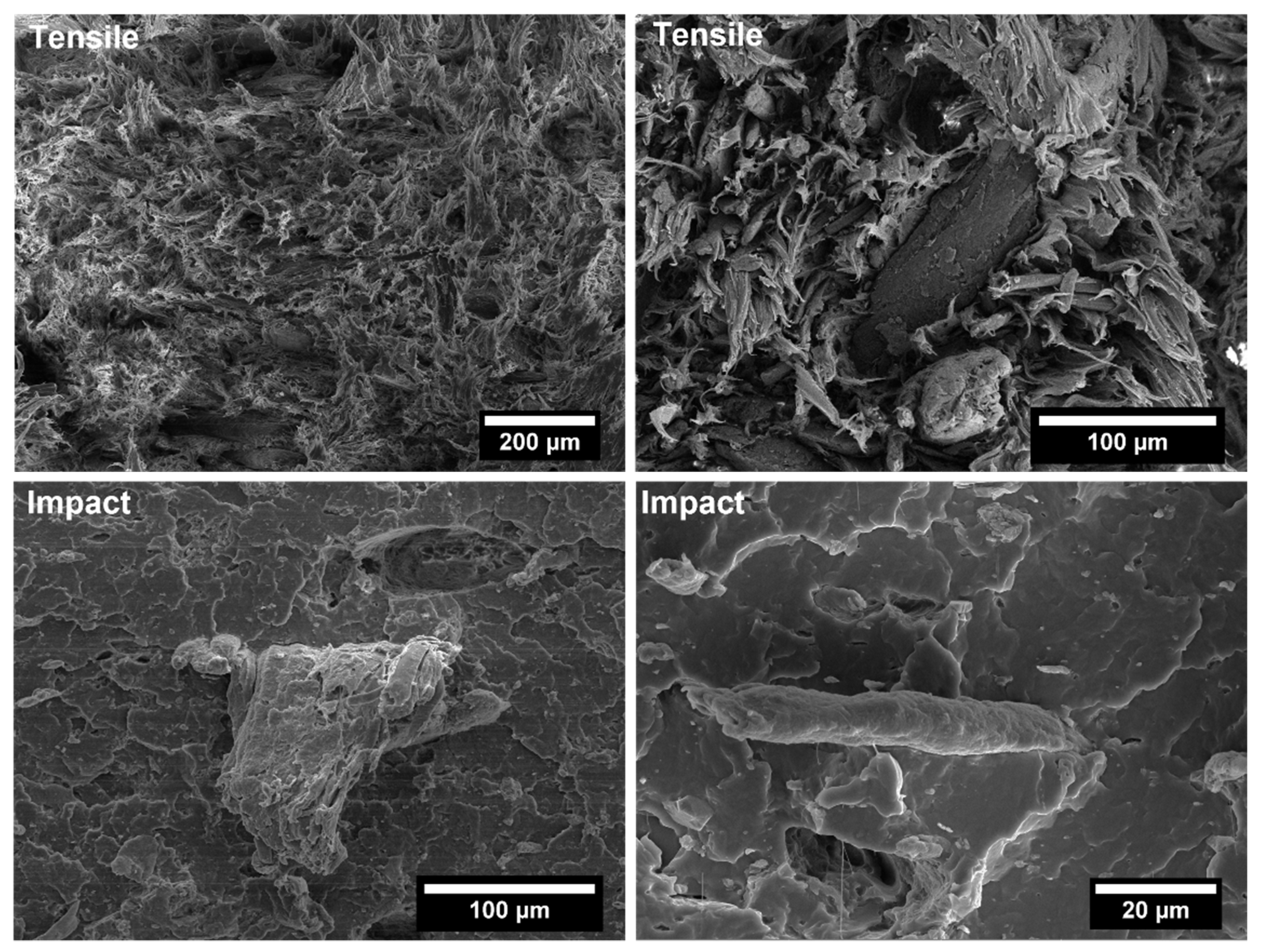 Polymers 14 04348 g011 Polymers 14 04348 g011