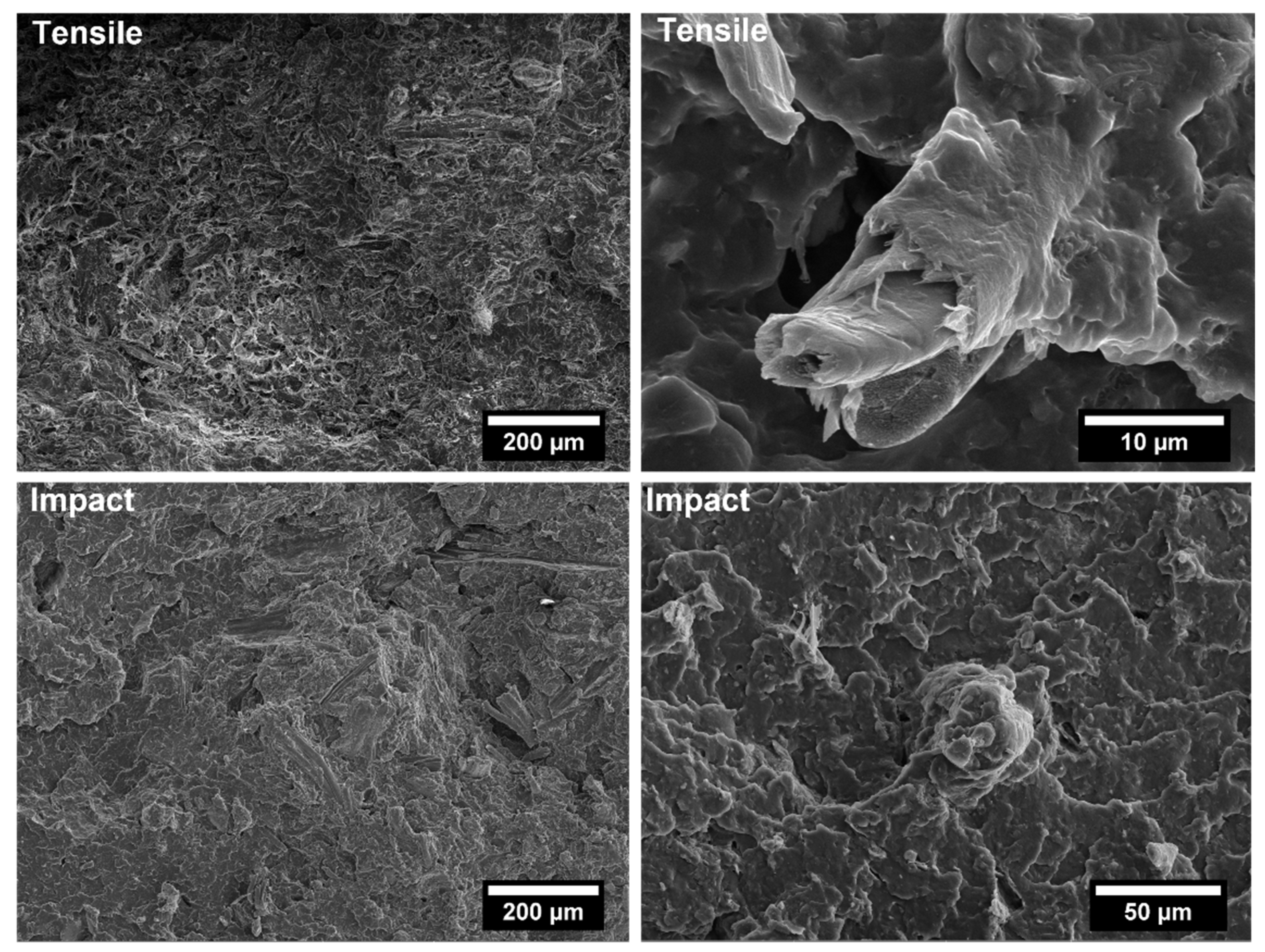 Polymers 14 04348 g012 Polymers 14 04348 g012