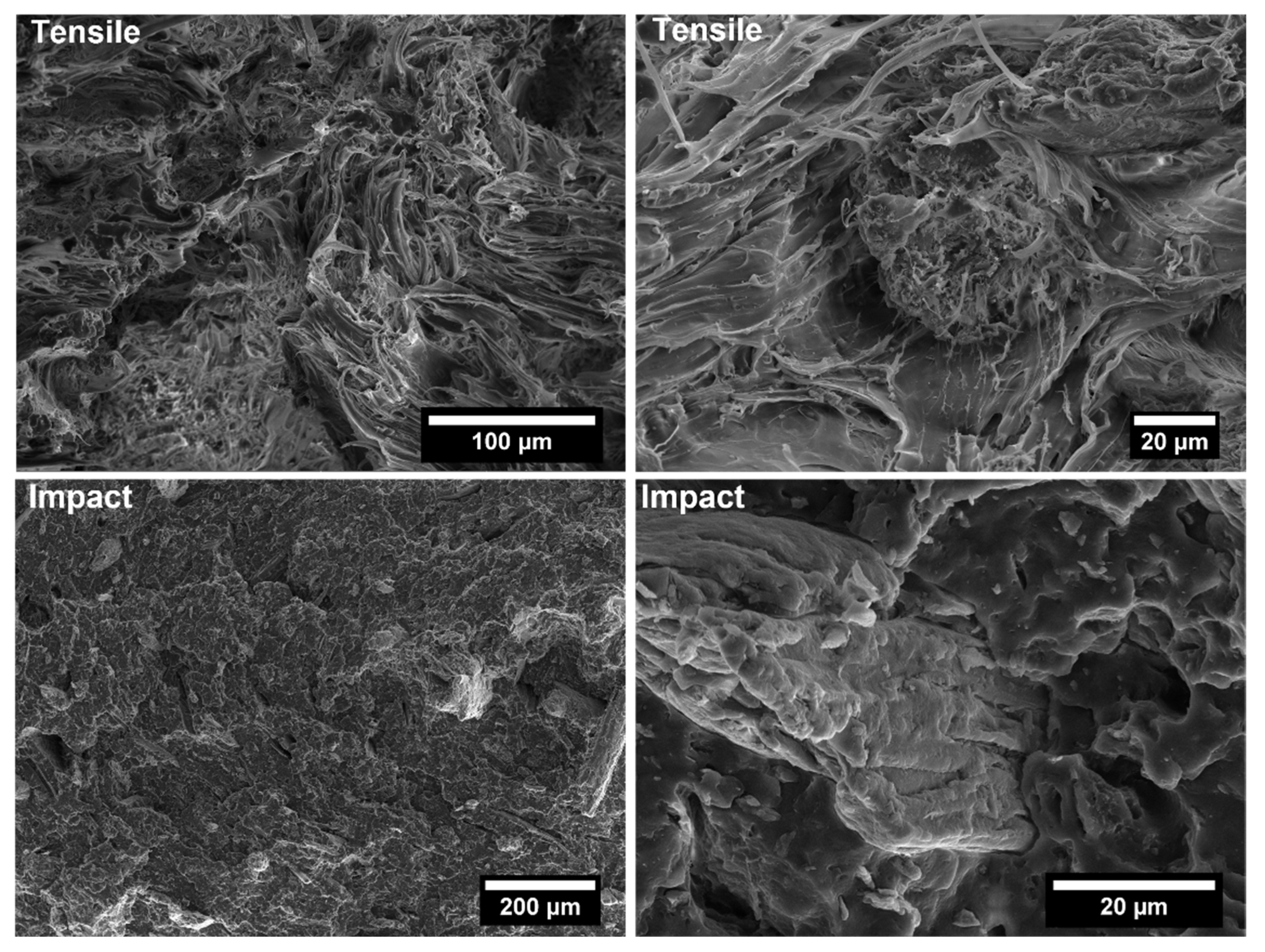 Polymers 14 04348 g013 Polymers 14 04348 g013