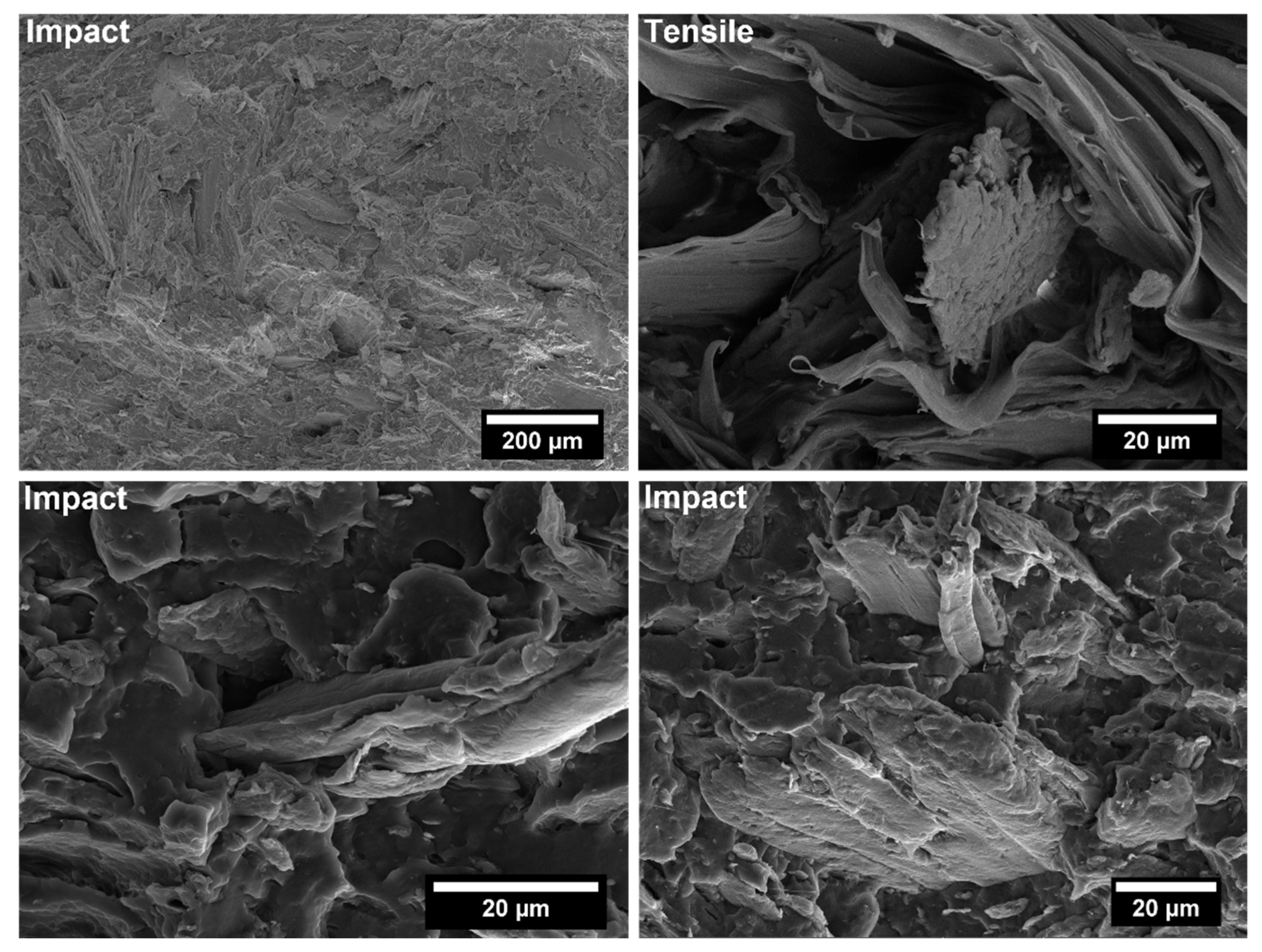 Polymers 14 04348 g015 Polymers 14 04348 g015