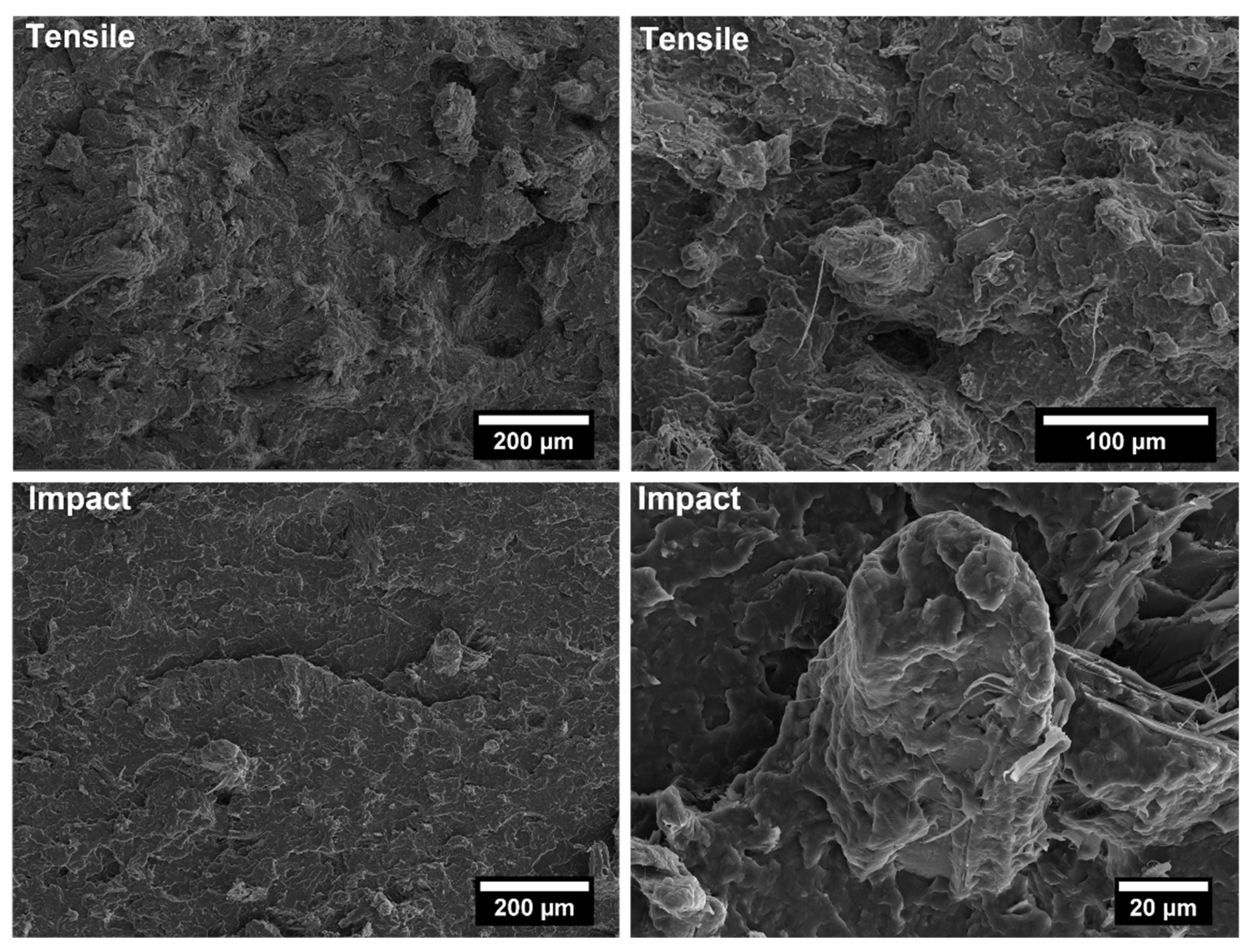 Polymers 14 04348 g016 Polymers 14 04348 g016