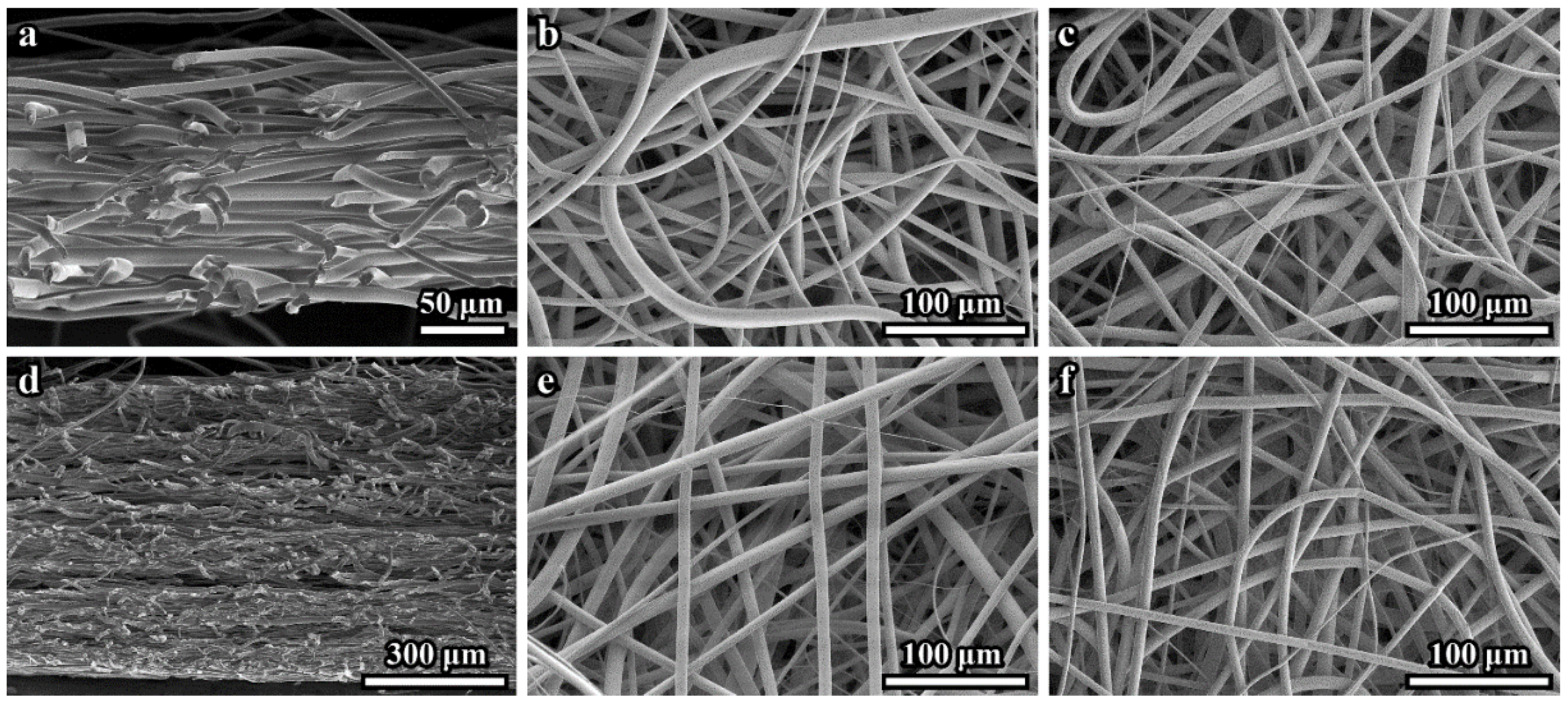 Polymers 14 04352 g001