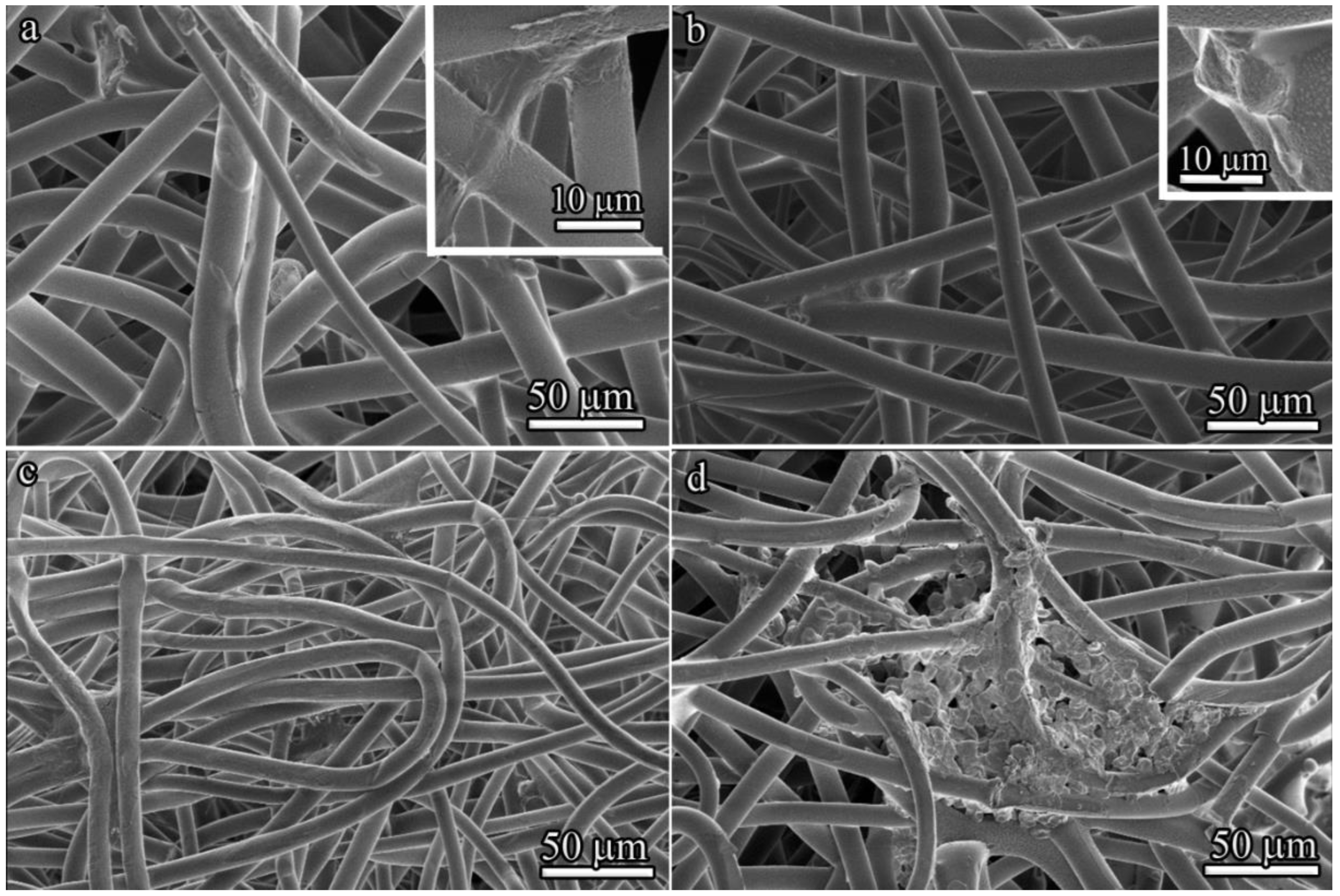 Polymers 14 04352 g007