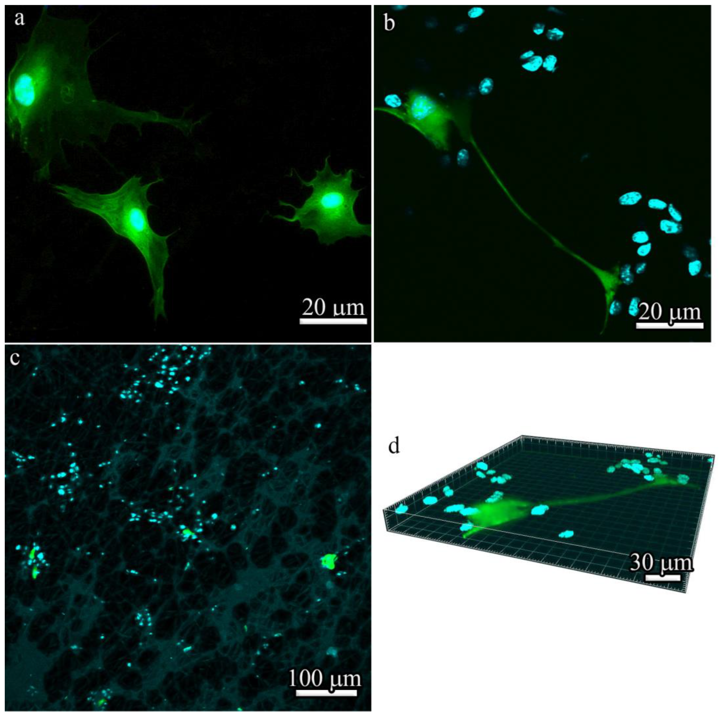Polymers 14 04352 g008