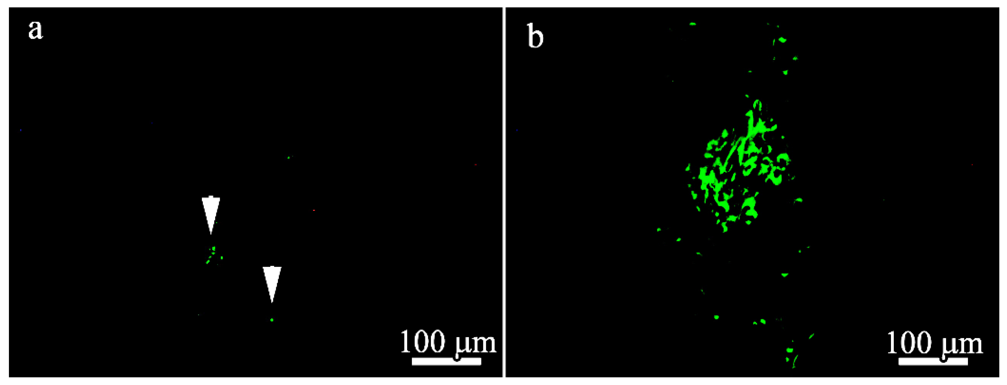 Polymers 14 04352 g010