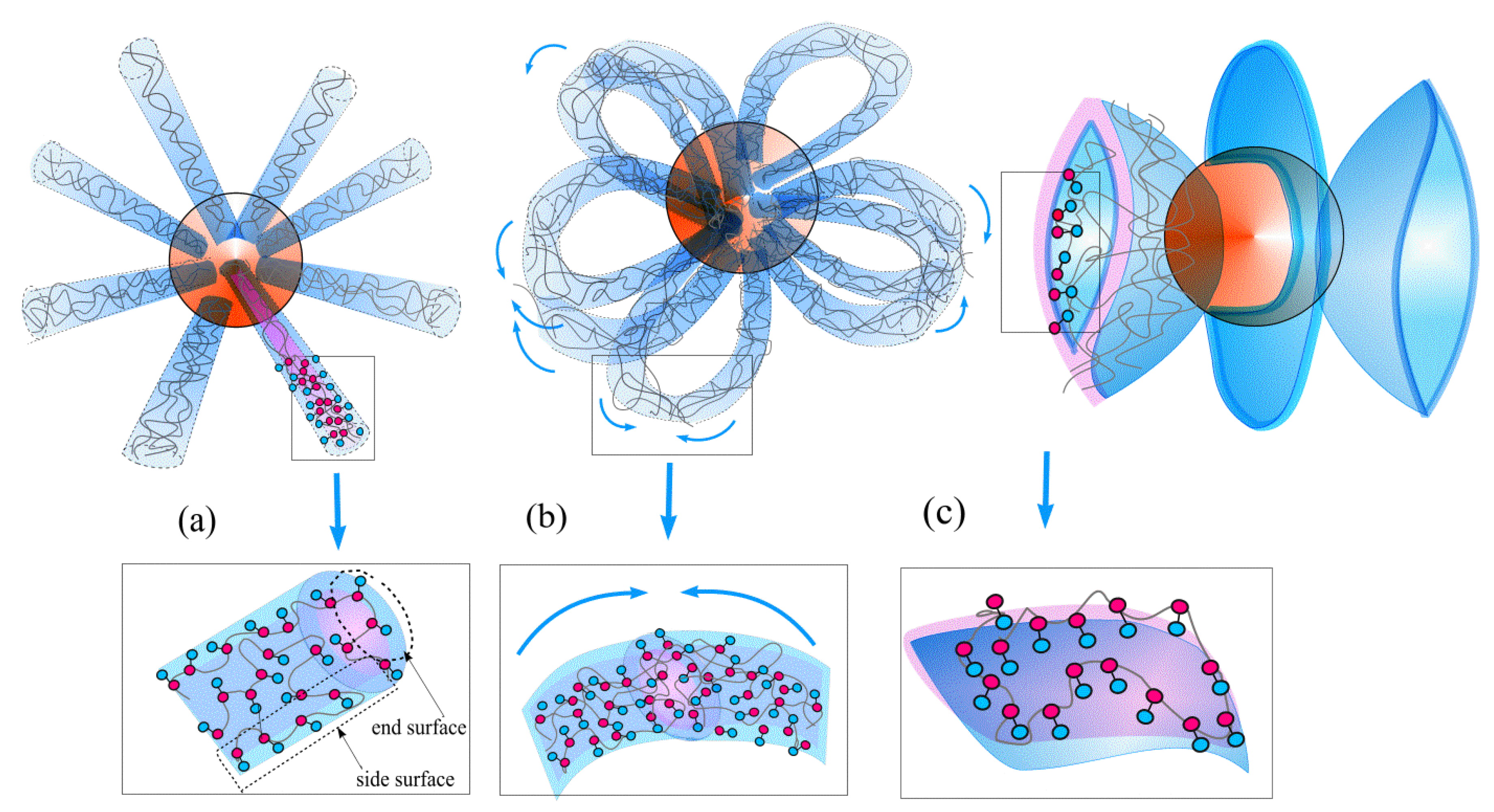 Polymers 14 04358 g002 Polymers 14 04358 g002