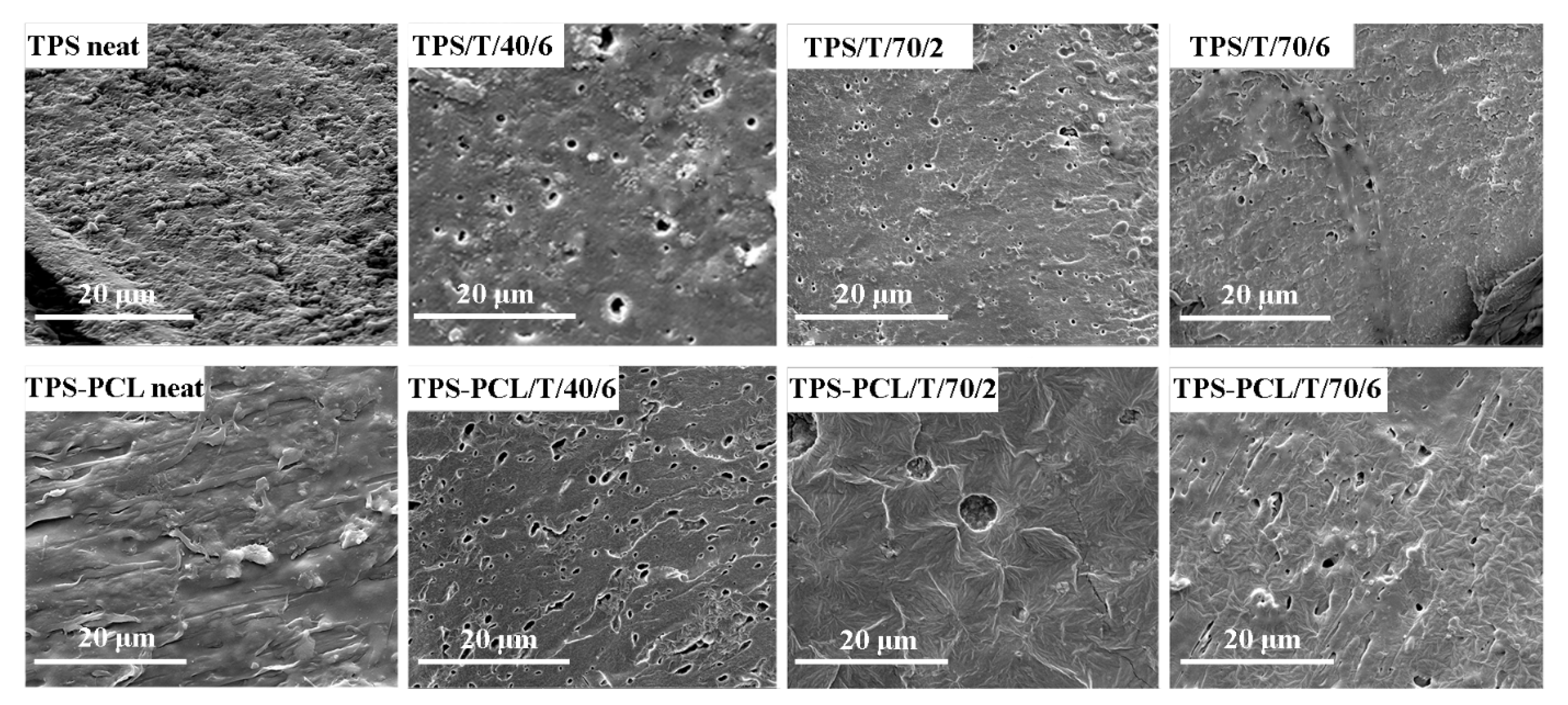 Polymers 14 04360 g004 Polymers 14 04360 g004