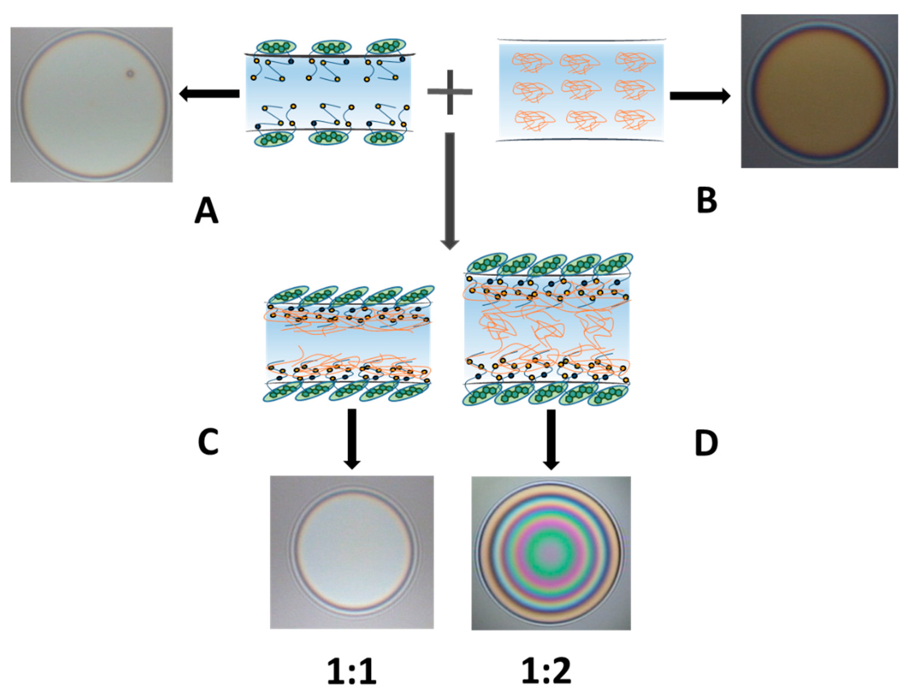 Polymers 14 04362 sch001 Polymers 14 04362 sch001