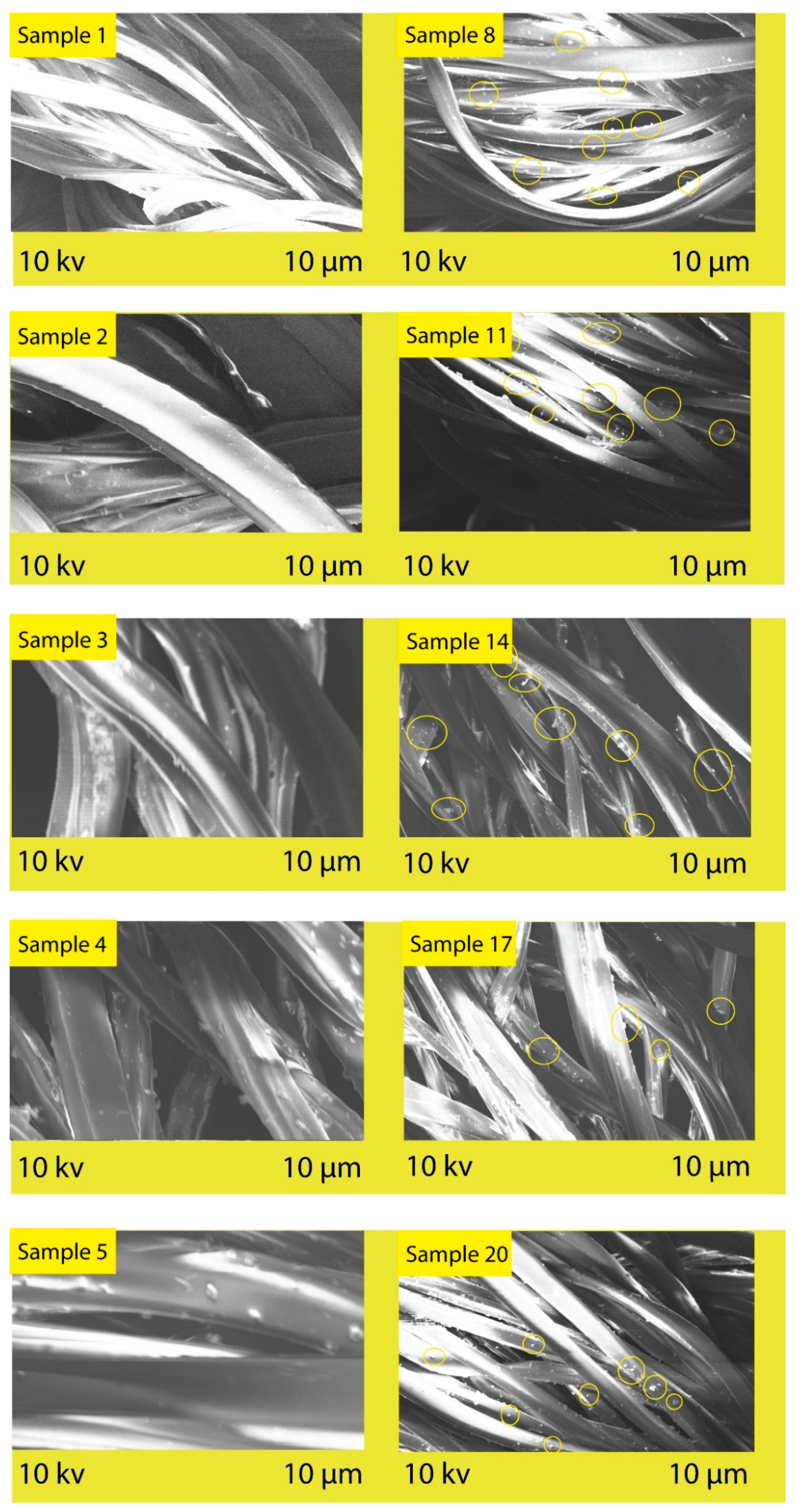 Polymers 14 04366 g005 Polymers 14 04366 g005
