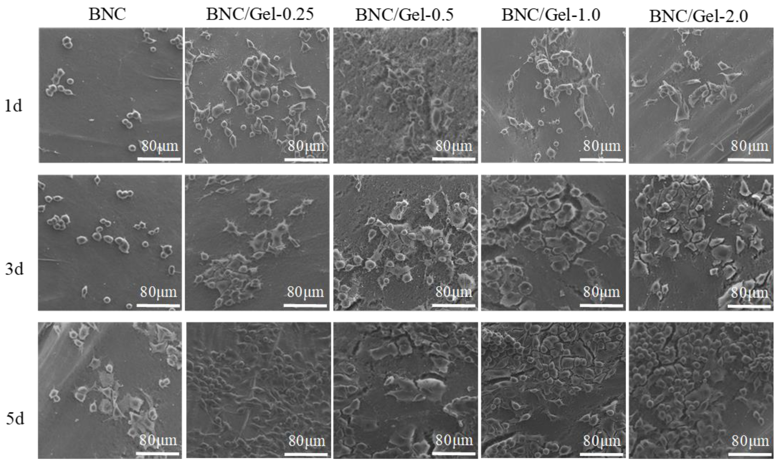 Polymers 14 04367 g007