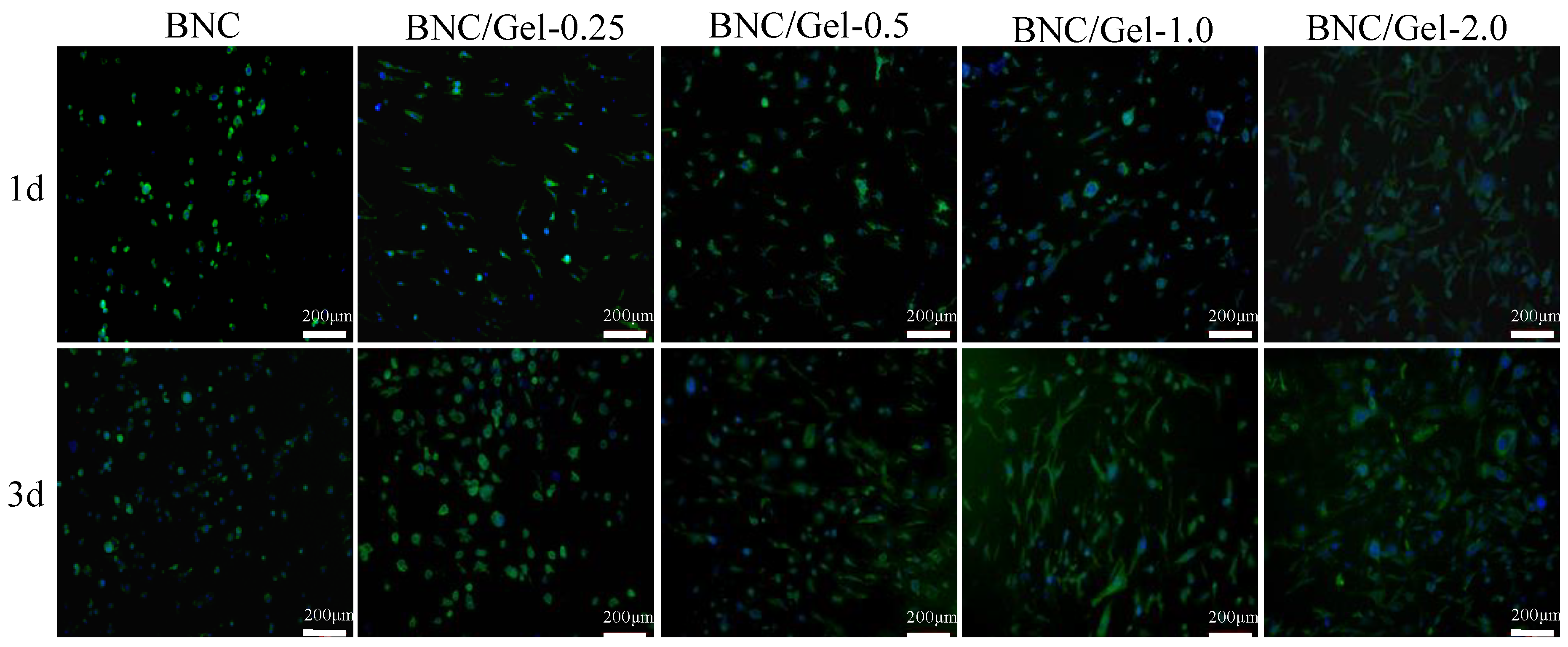 Polymers 14 04367 g009