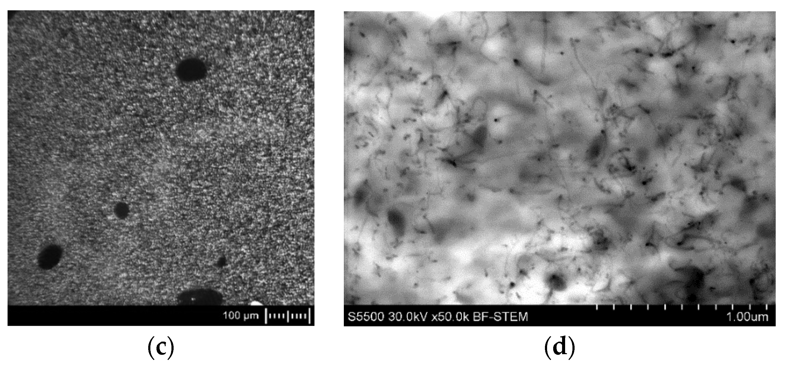 Polymers 14 04371 g002b