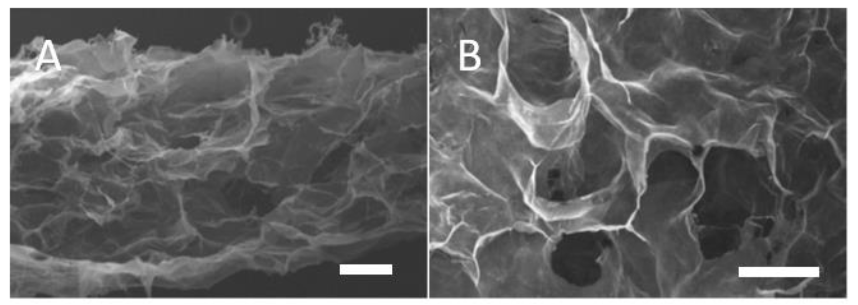Polymers 14 04376 g003