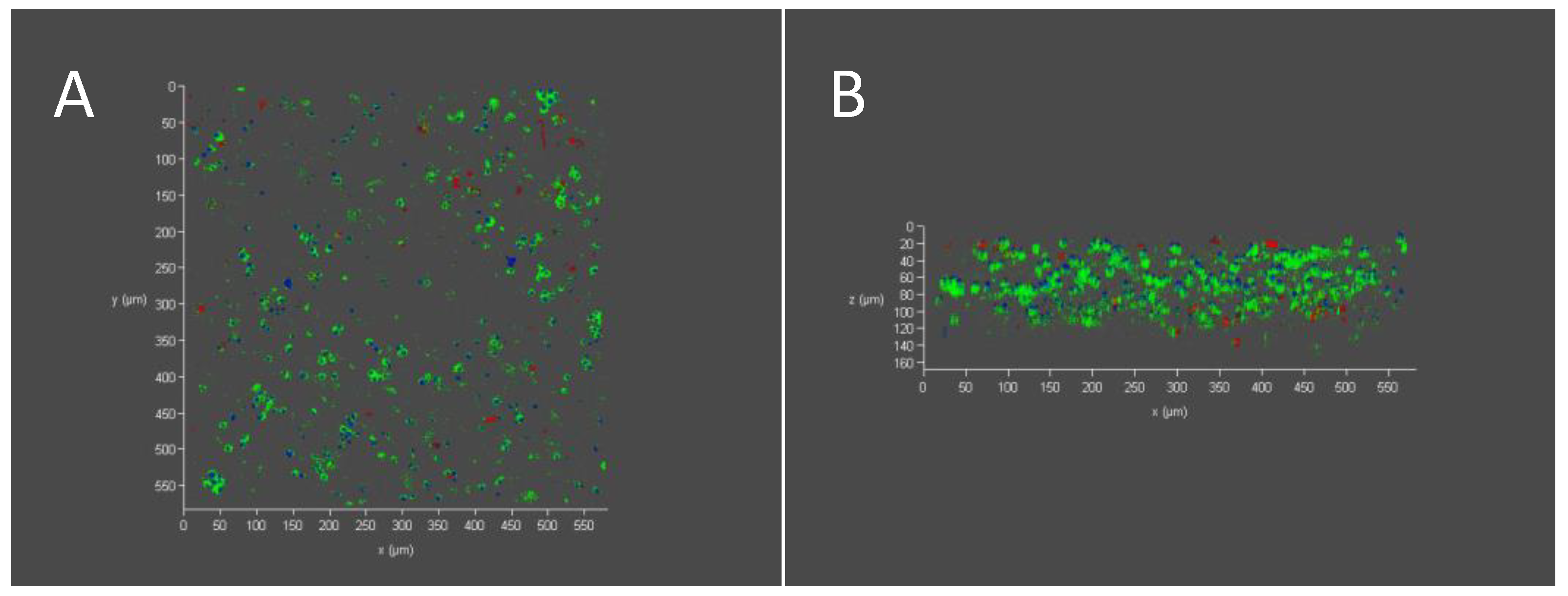 Polymers 14 04376 g006