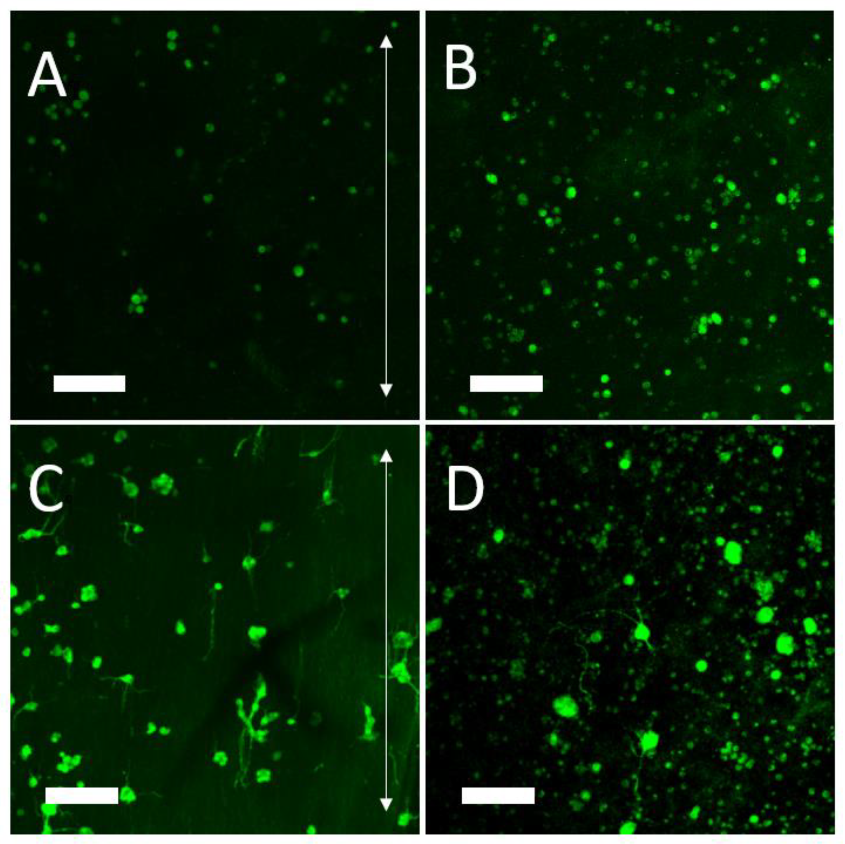 Polymers 14 04376 g009
