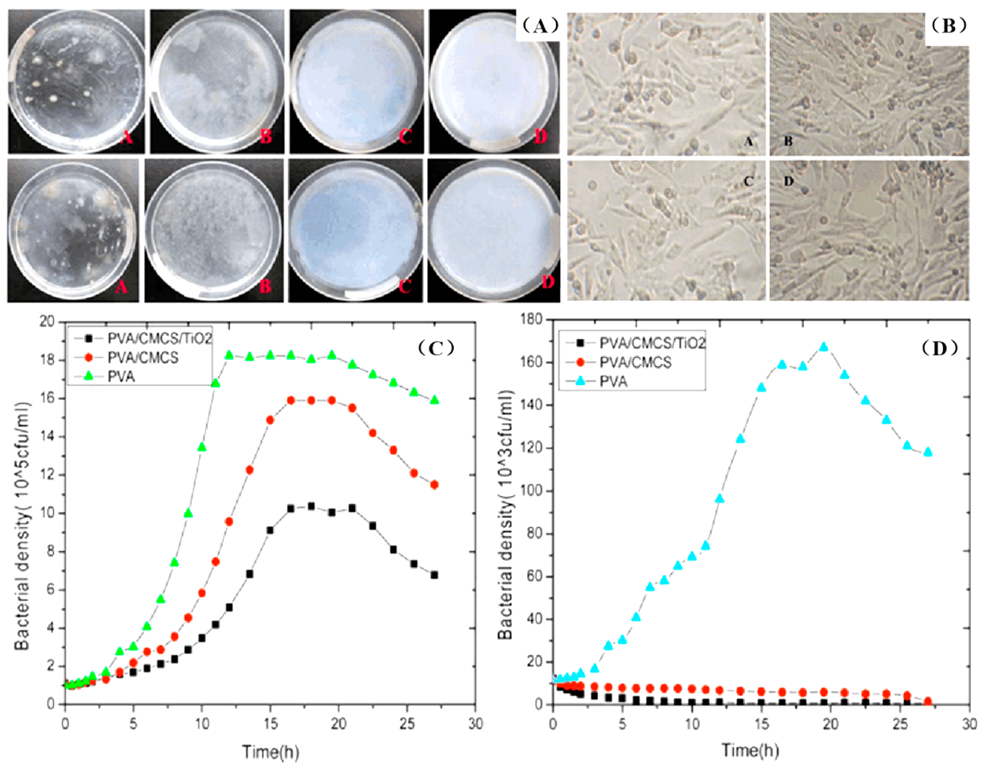 Polymers 14 04377 g008 Polymers 14 04377 g008