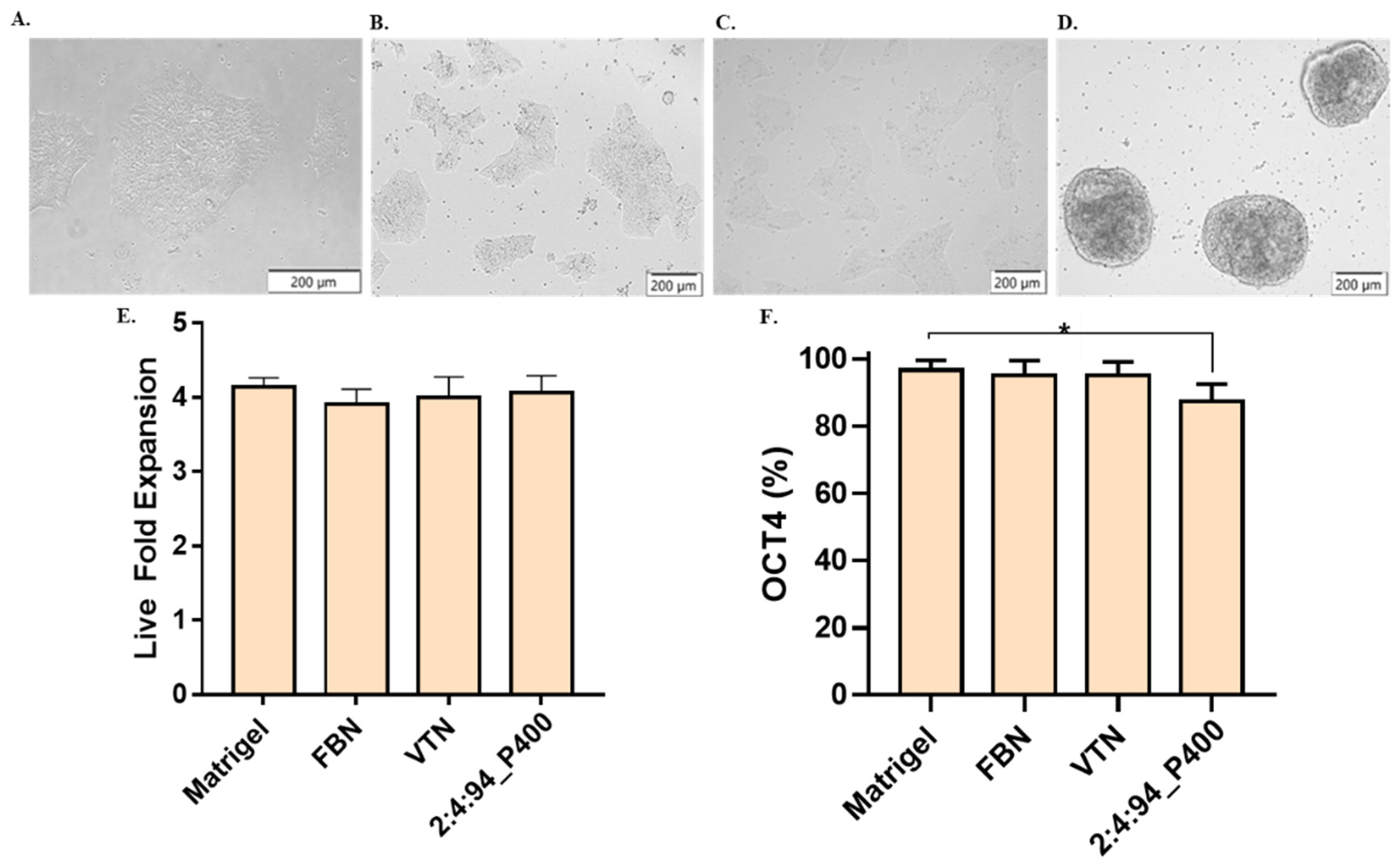 Polymers 14 04379 g007