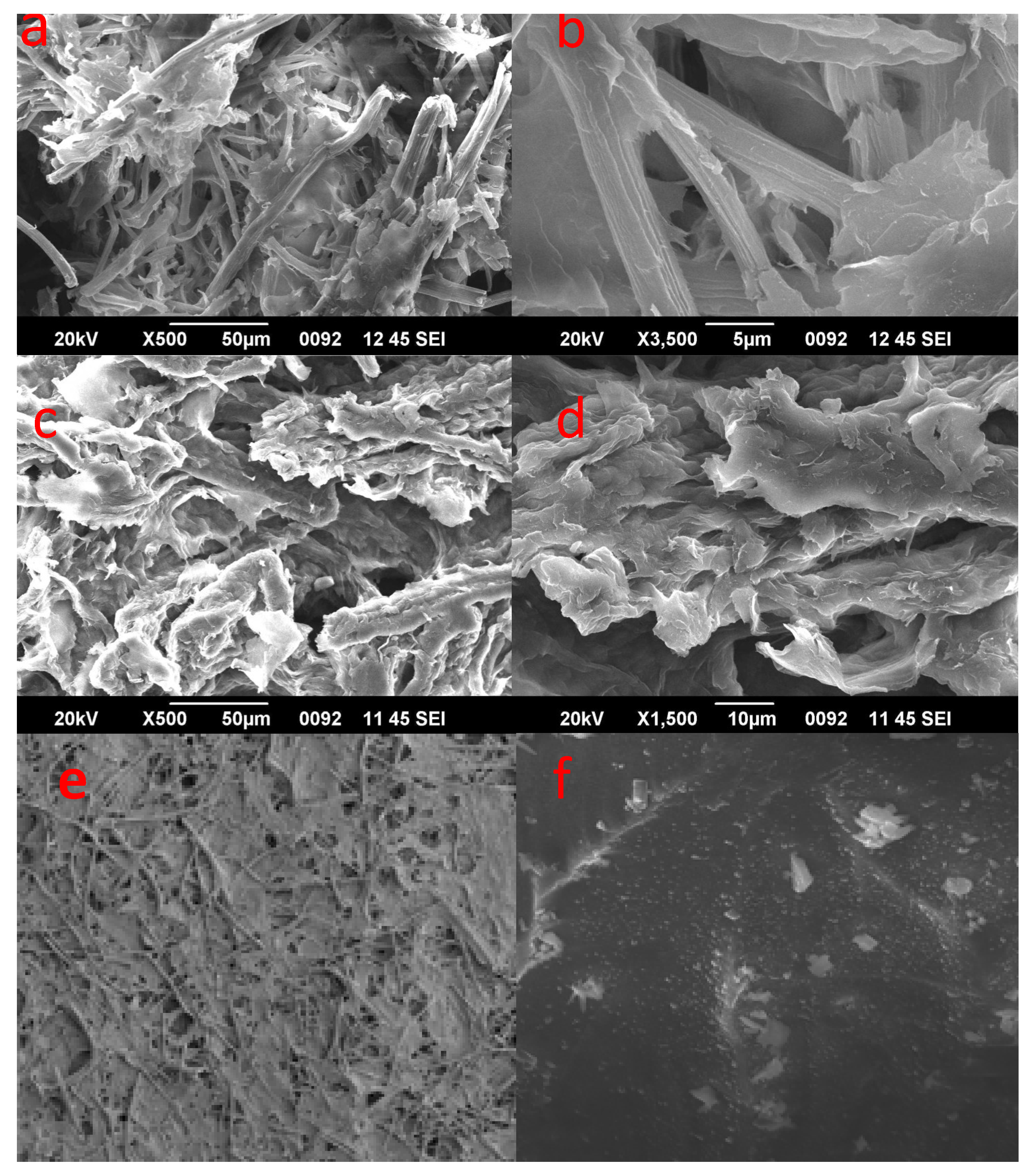 Polymers 14 04383 g003 Polymers 14 04383 g003