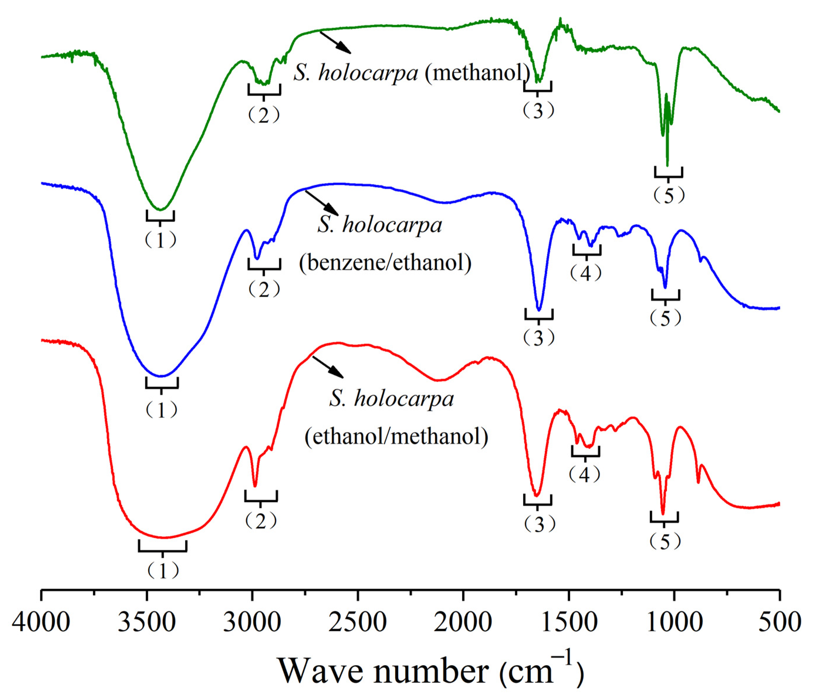 Polymers 14 04385 g001