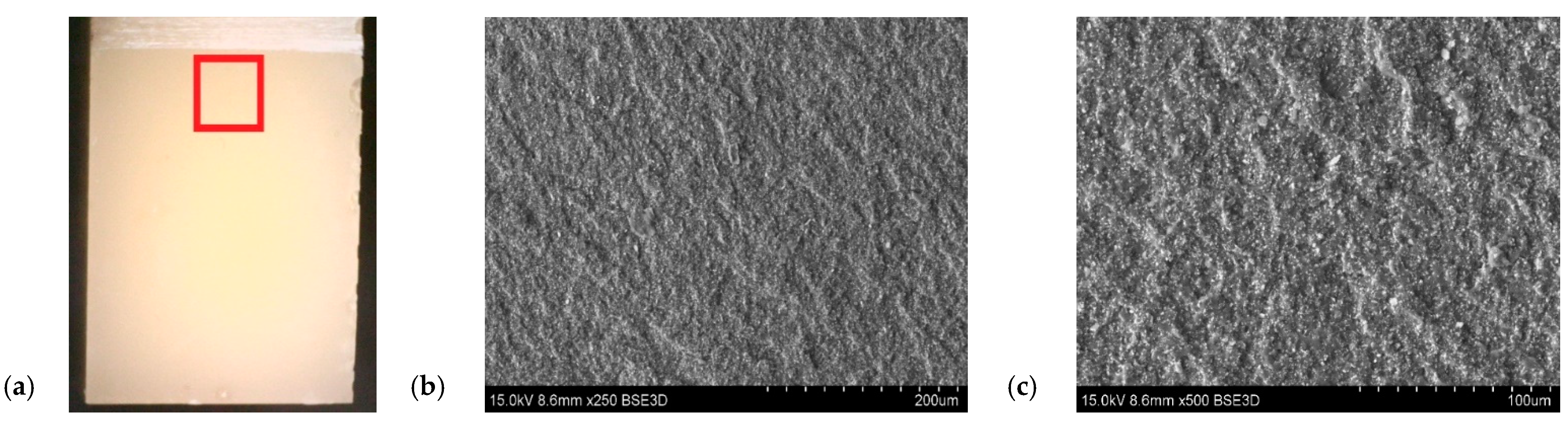 Polymers 14 04386 g016