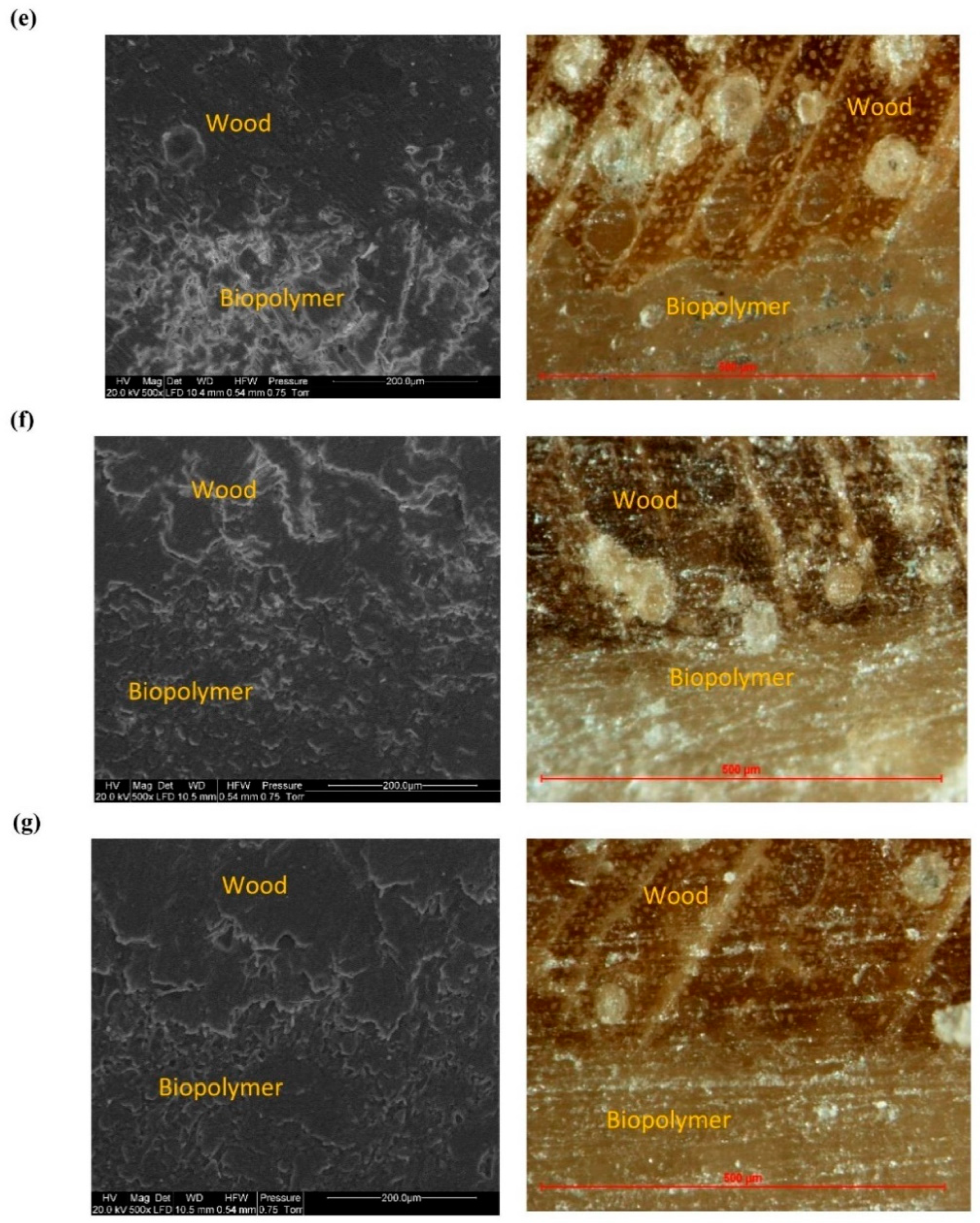 Polymers 14 04393 g008b Polymers 14 04393 g008b