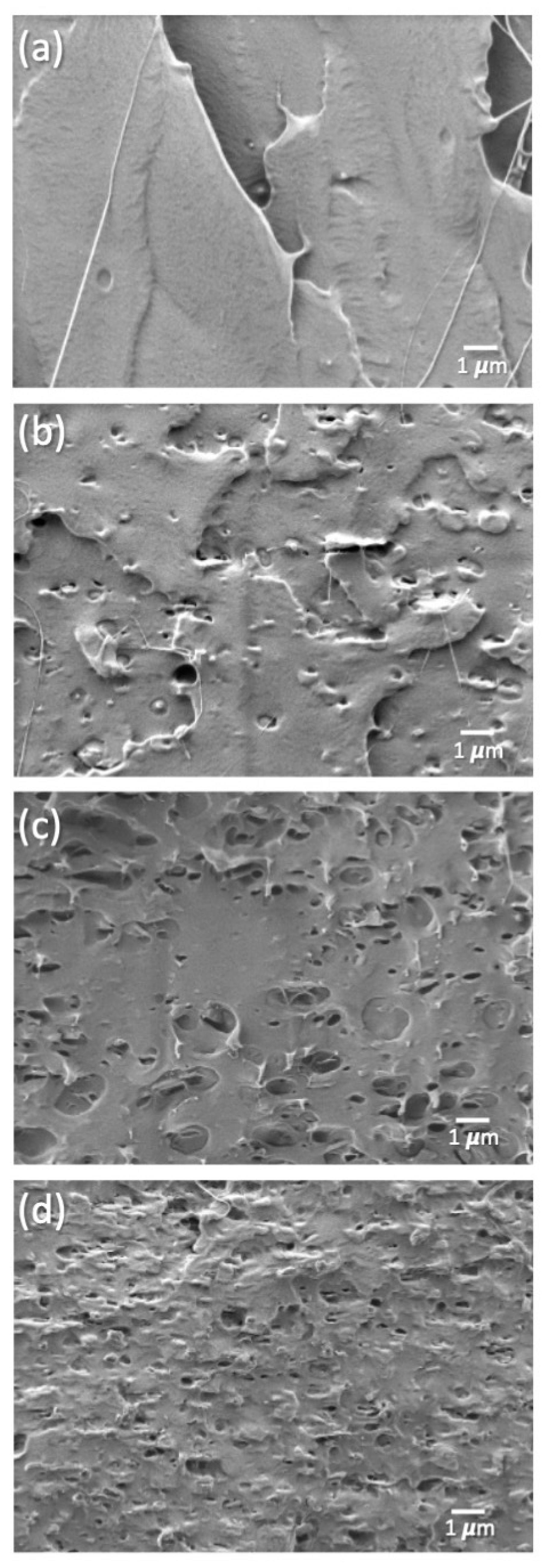 Polymers 14 04394 g003 Polymers 14 04394 g003