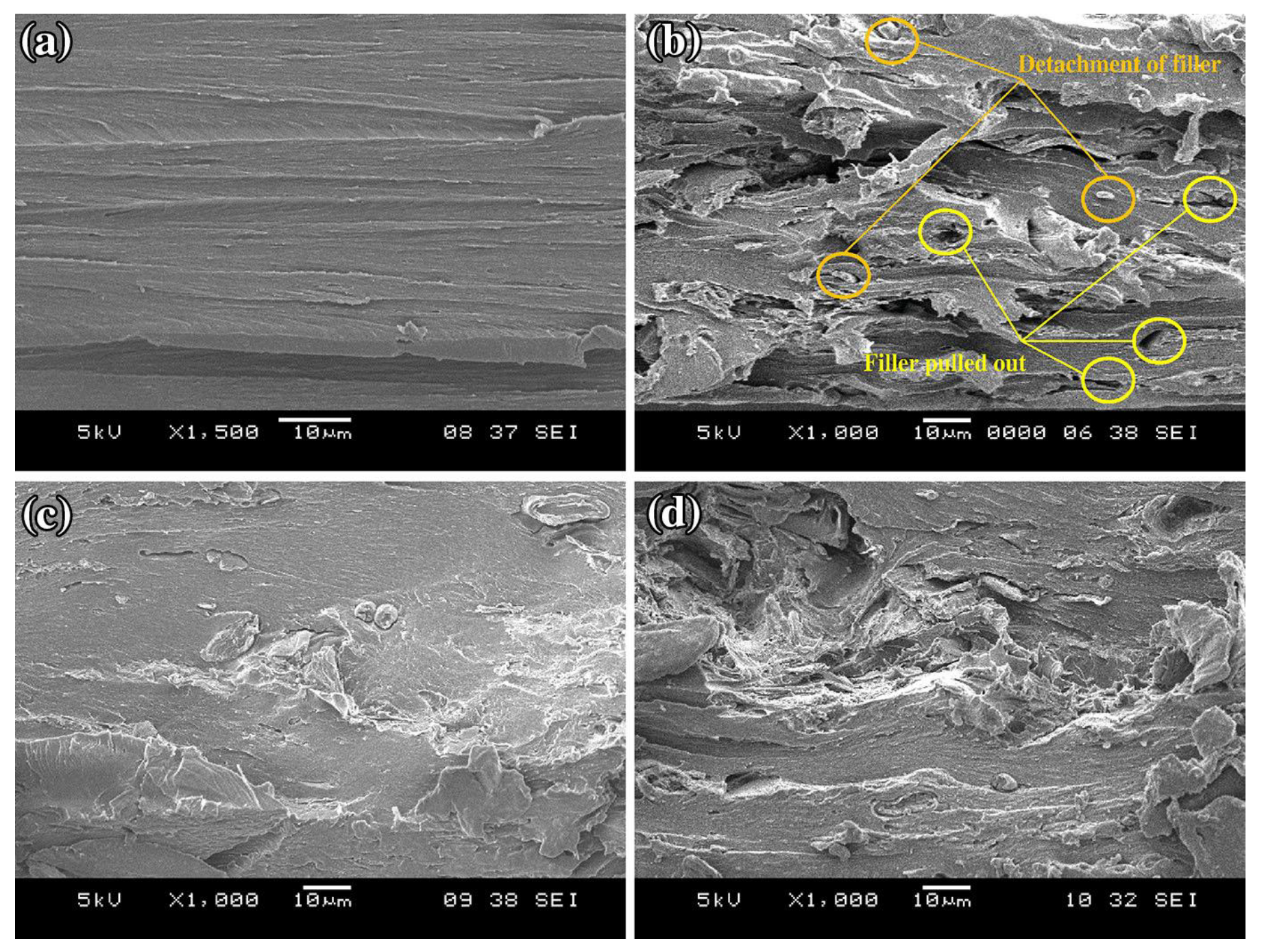 Polymers 14 04396 g005