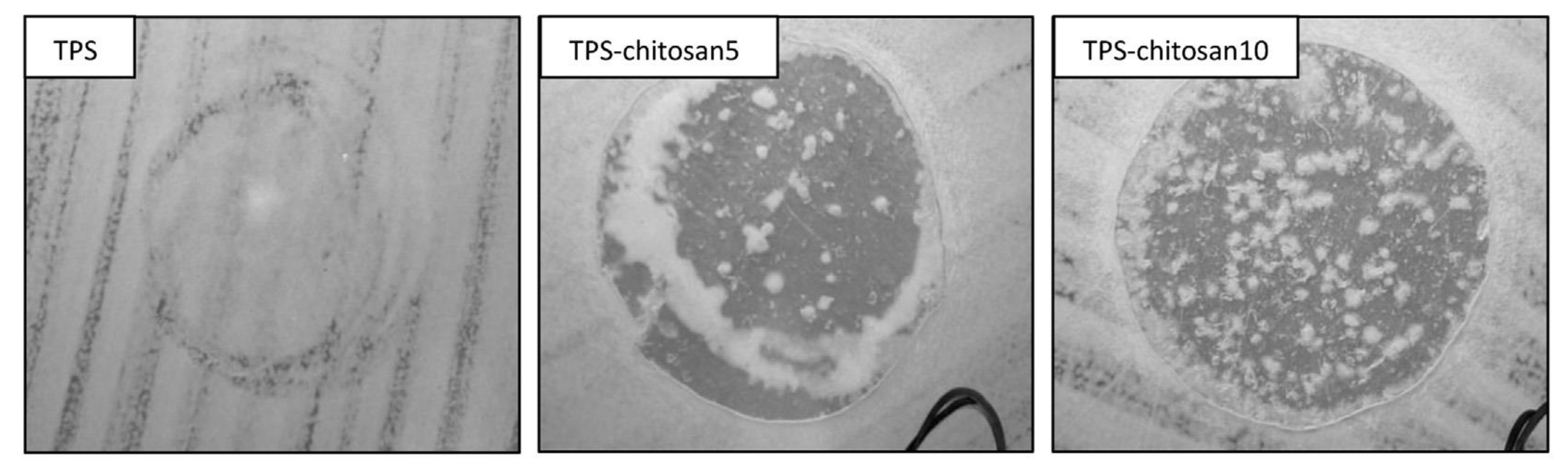 Polymers 14 04396 g006