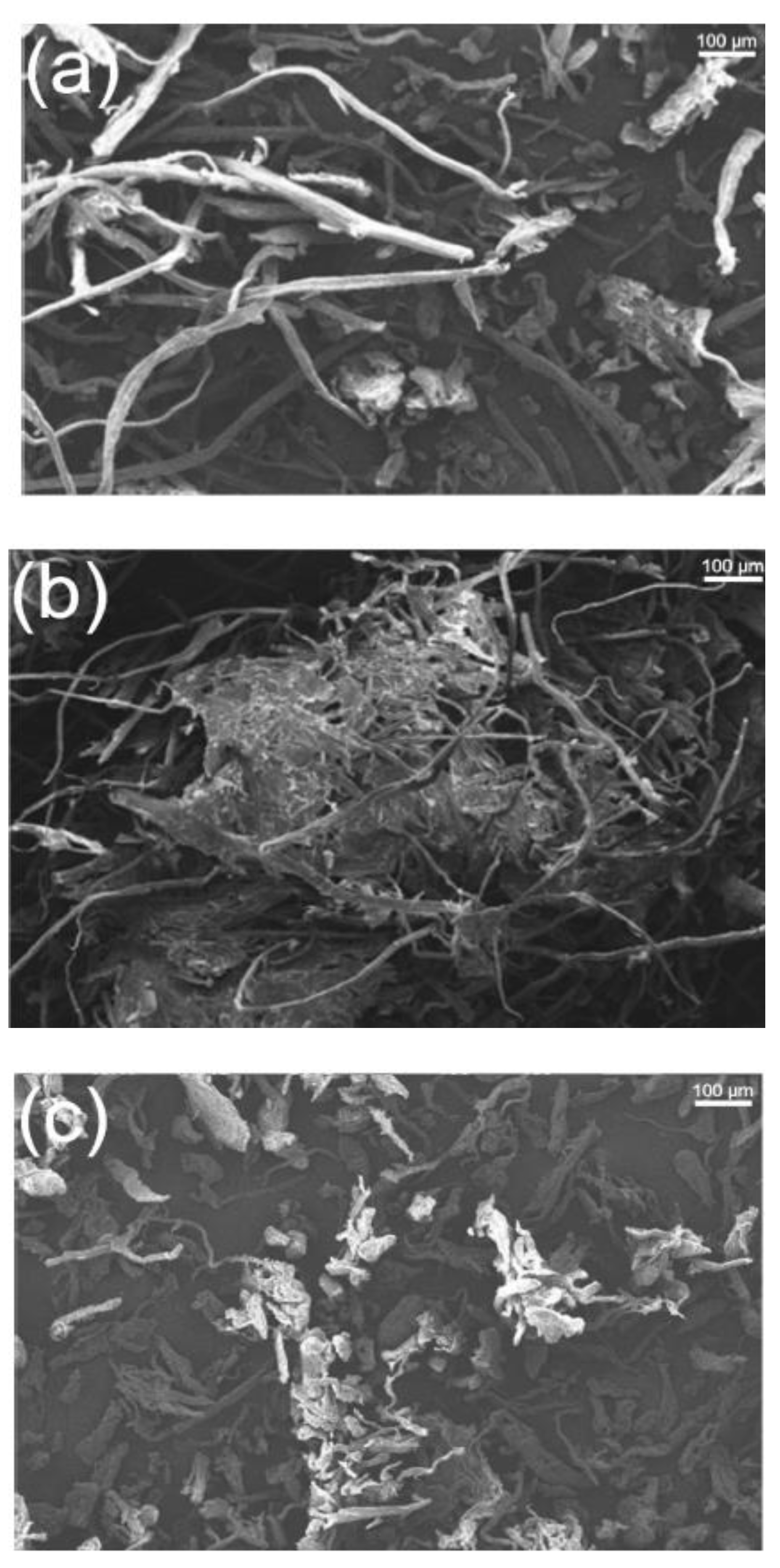 Polymers 14 04396 g007
