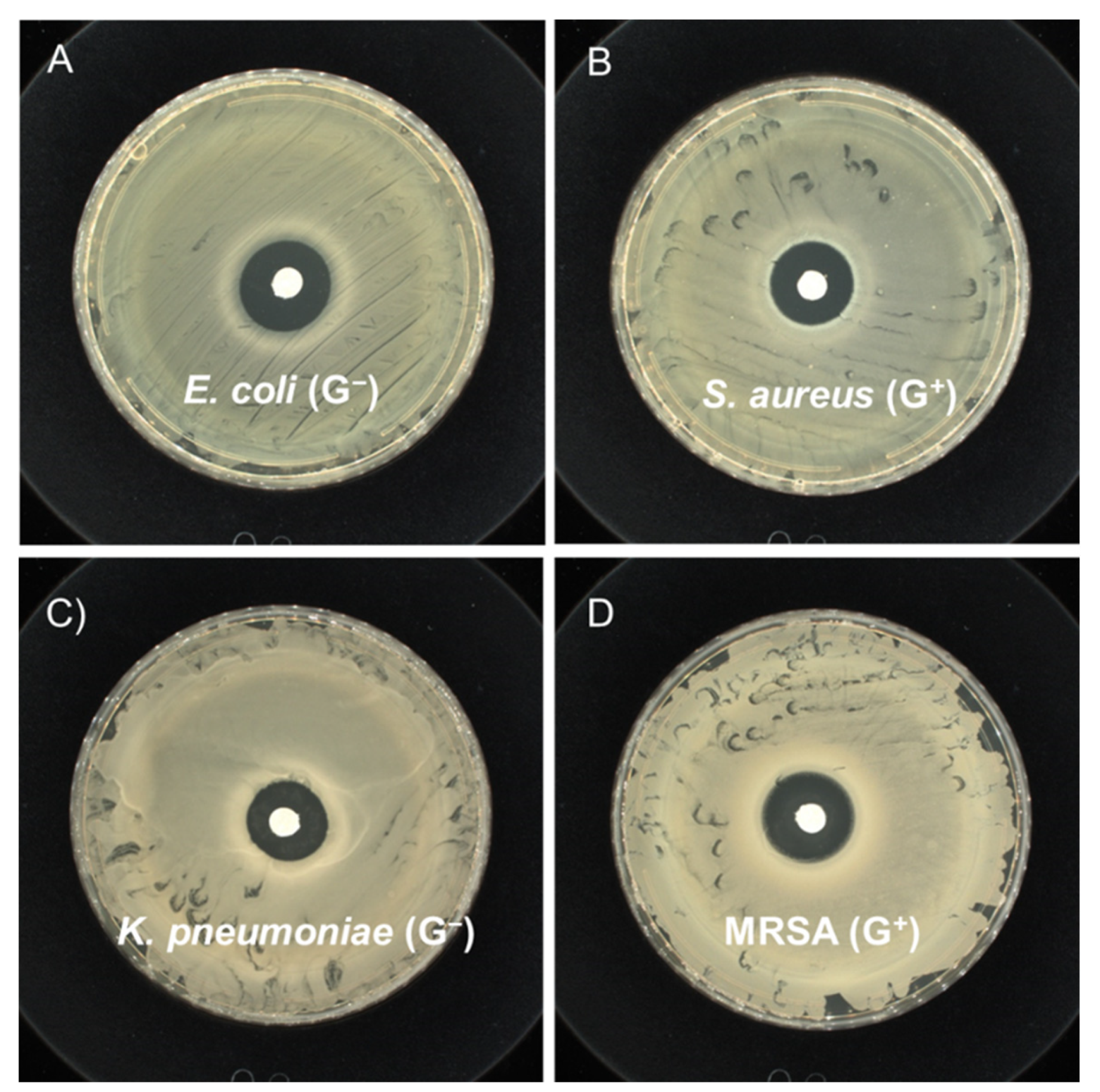 Polymers 14 04399 g004
