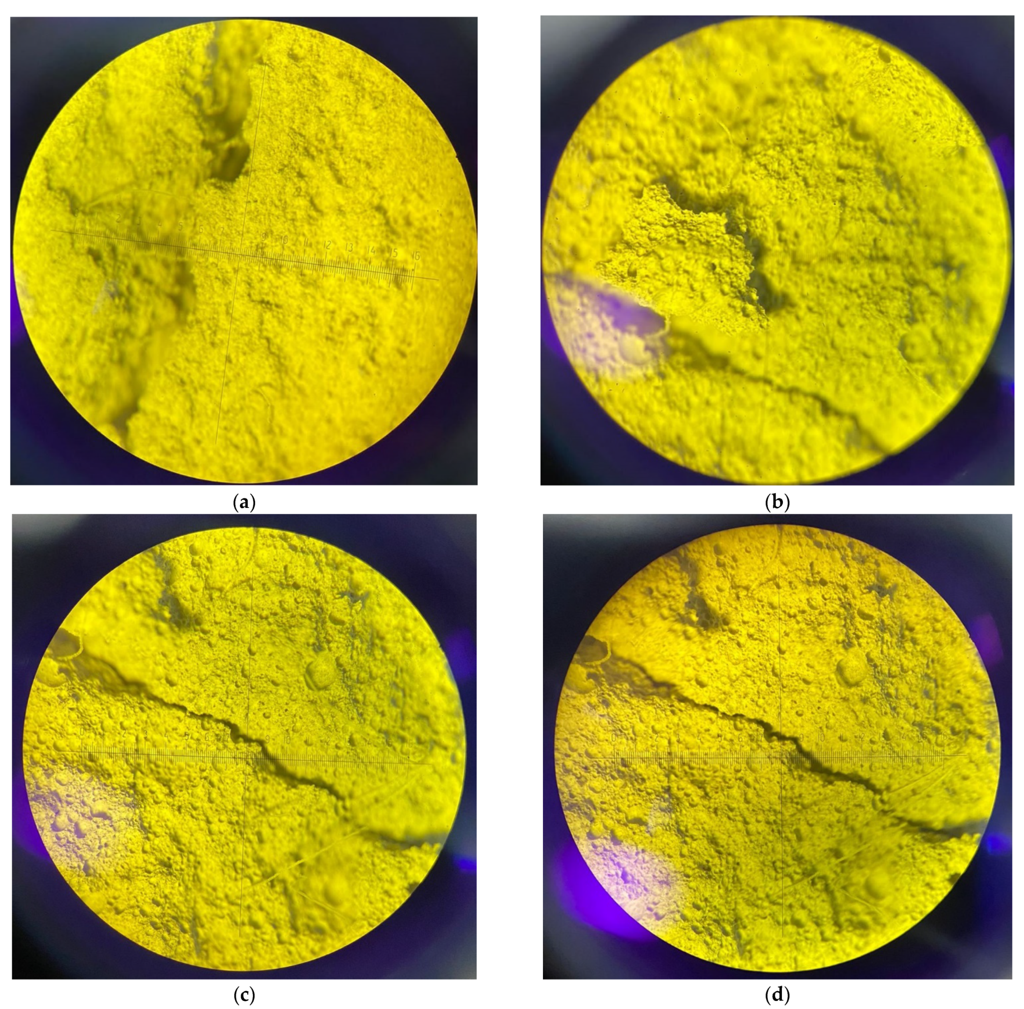 Polymers 14 04401 g015 Polymers 14 04401 g015